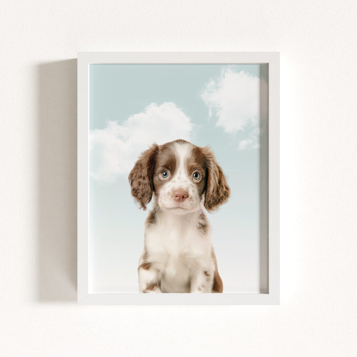 Baby Puppy Springer Spaniel Portrait