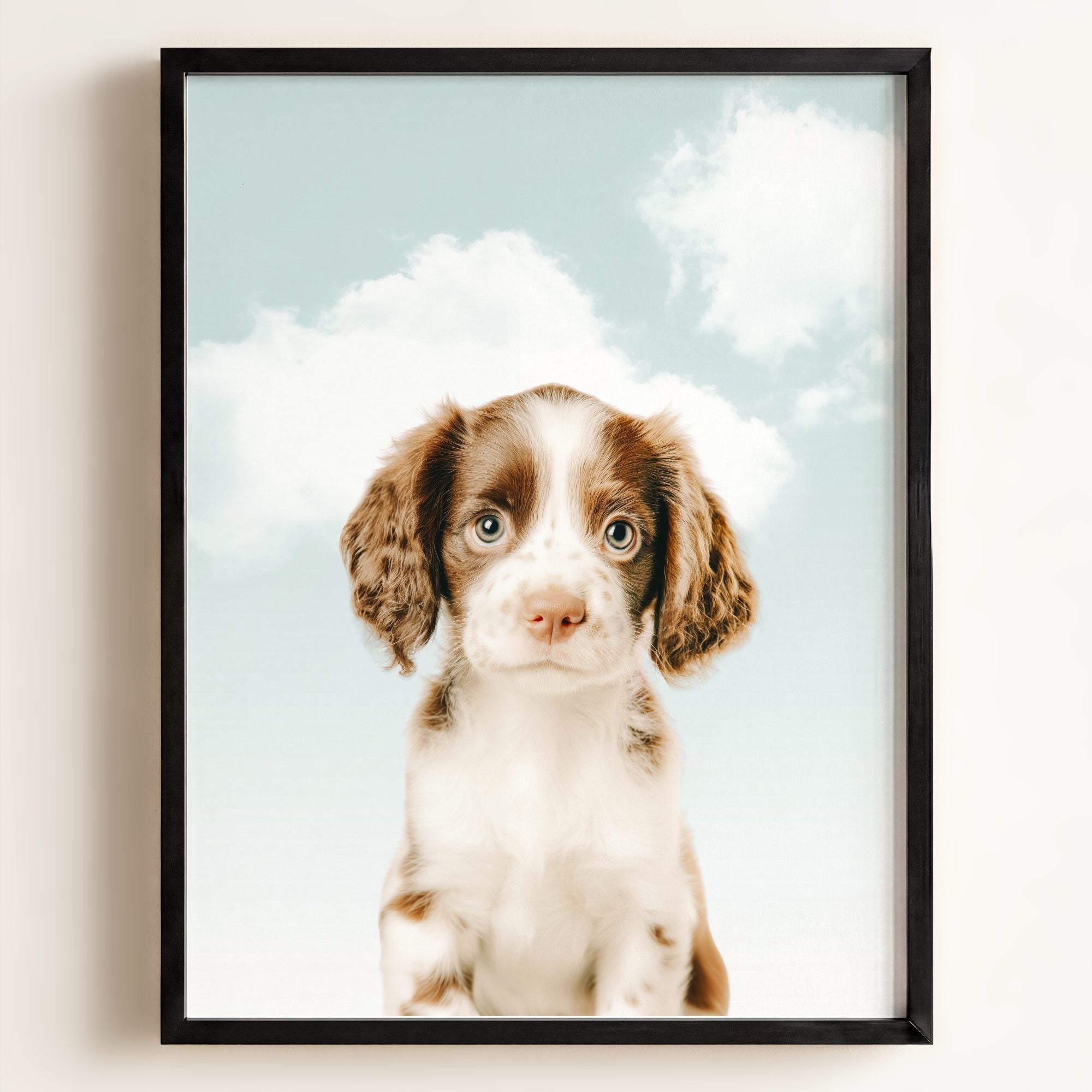Baby Puppy Springer Spaniel Portrait