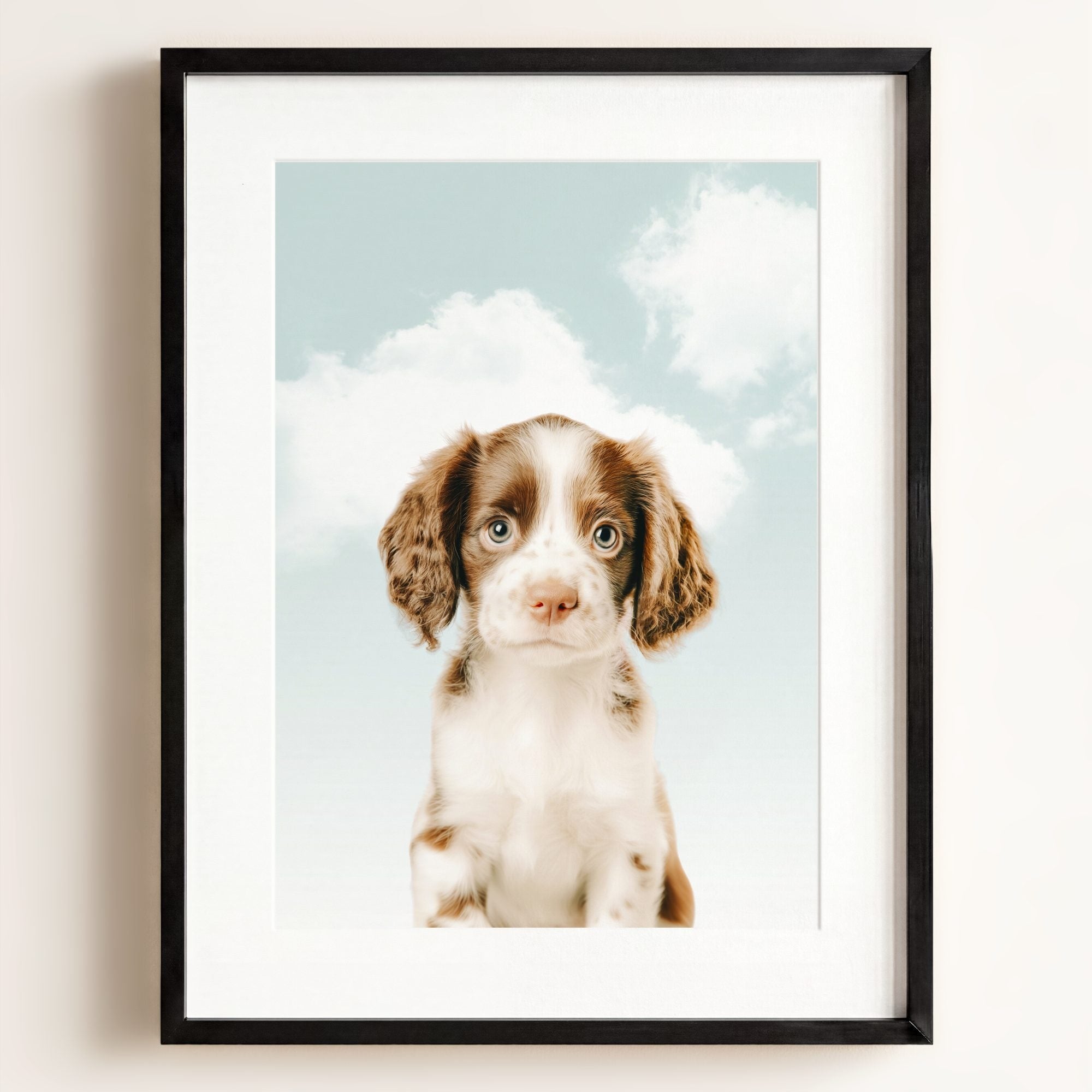 Baby Puppy Springer Spaniel Portrait