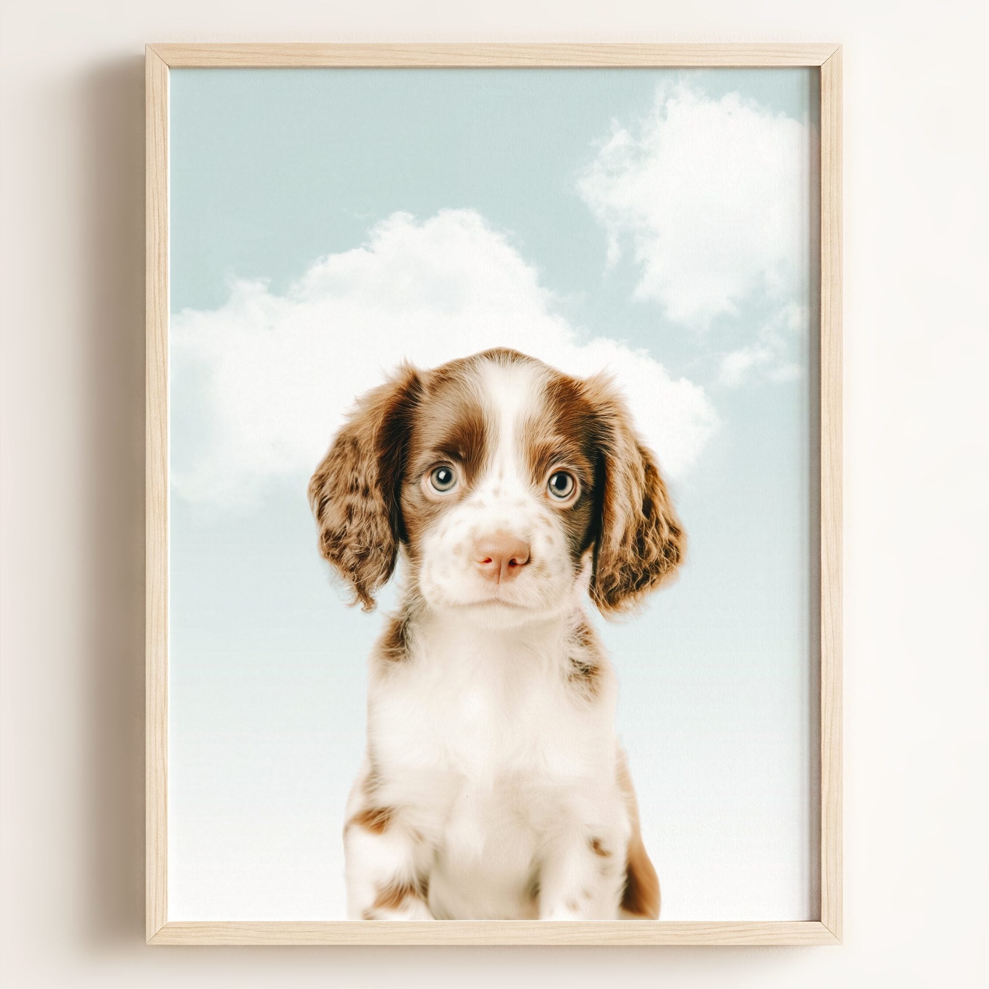 Baby Puppy Springer Spaniel Portrait