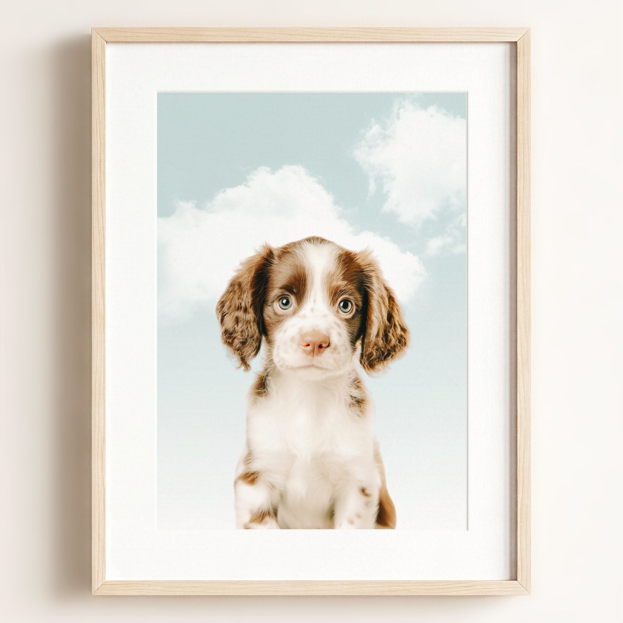 Baby Puppy Springer Spaniel Portrait