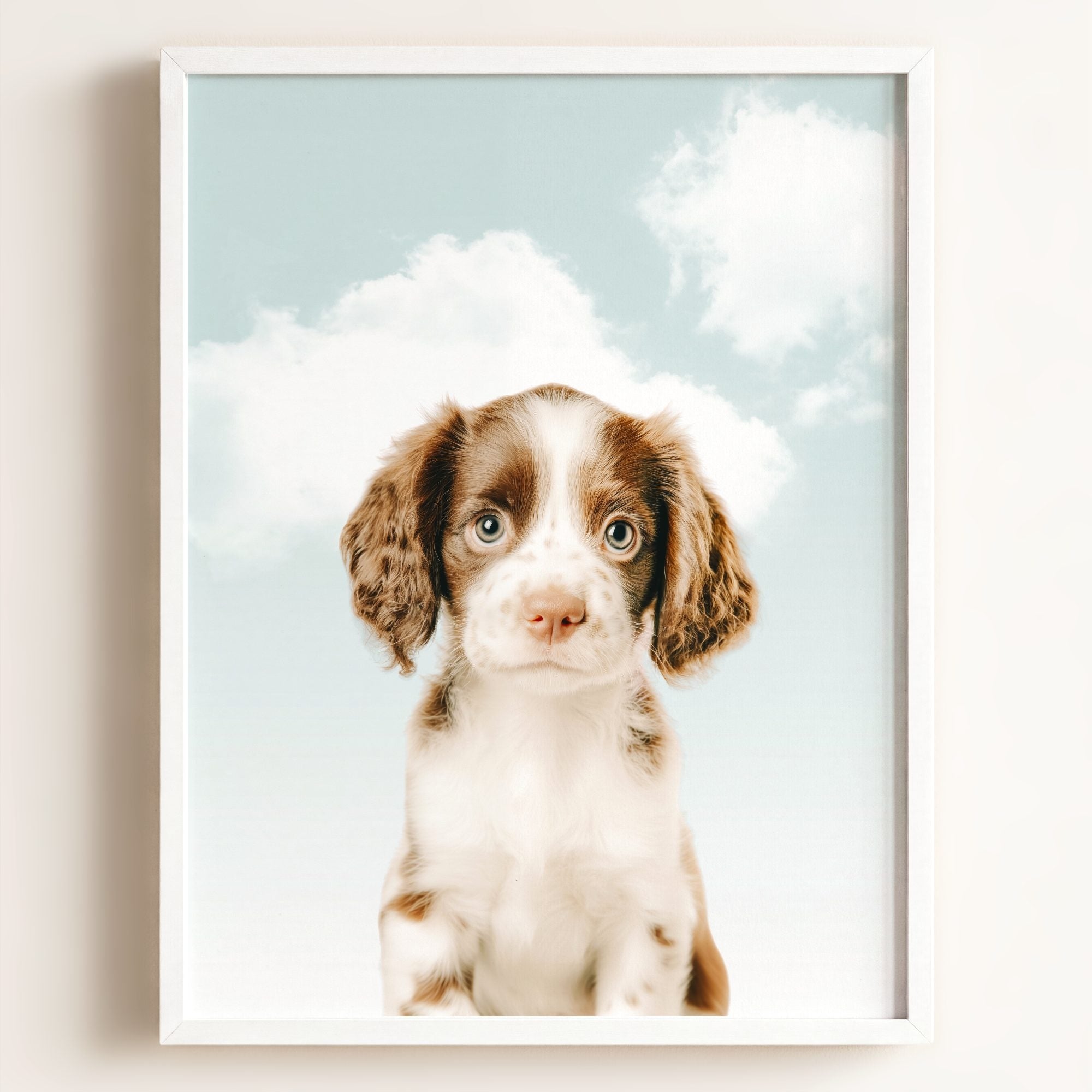 Baby Puppy Springer Spaniel Portrait