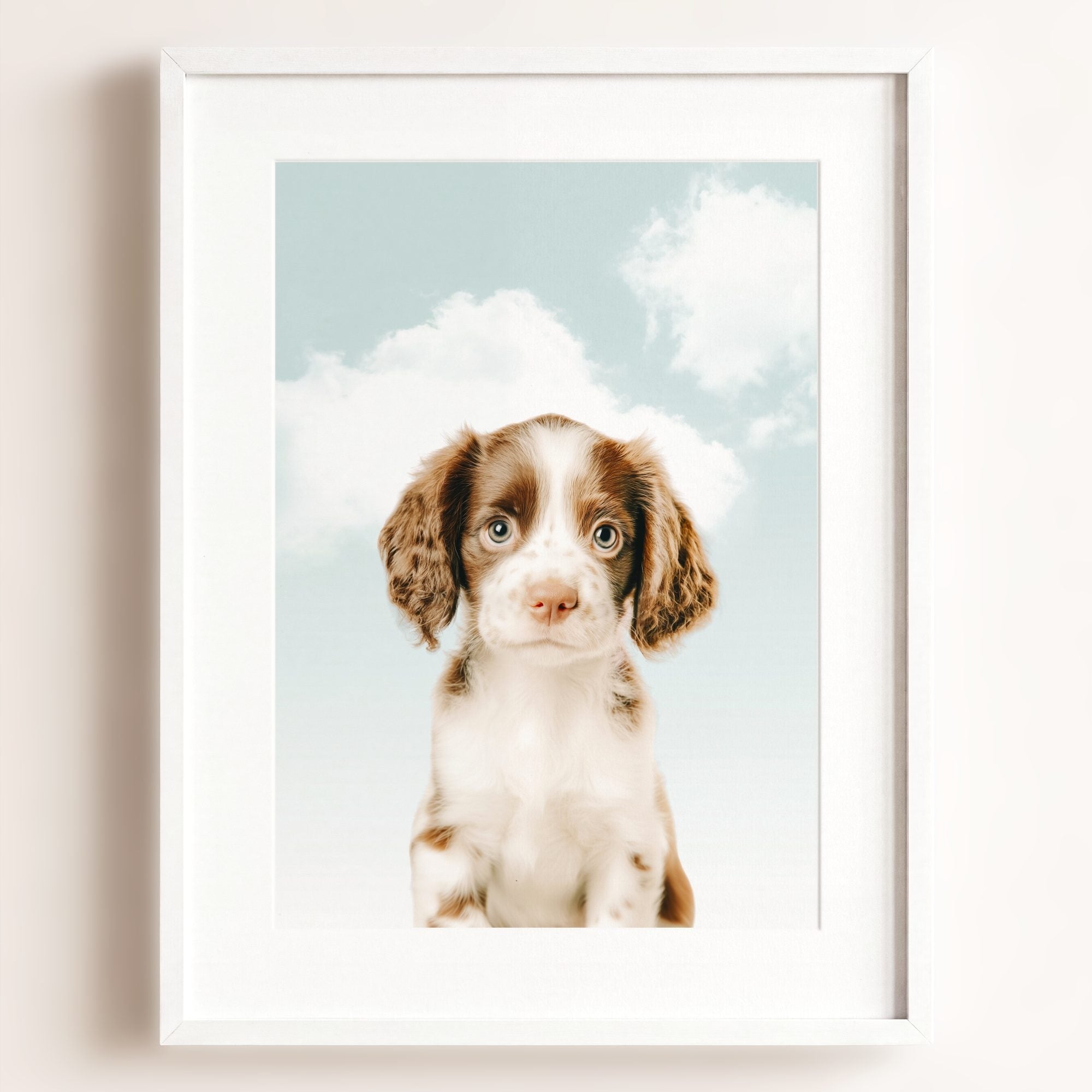 Baby Puppy Springer Spaniel Portrait