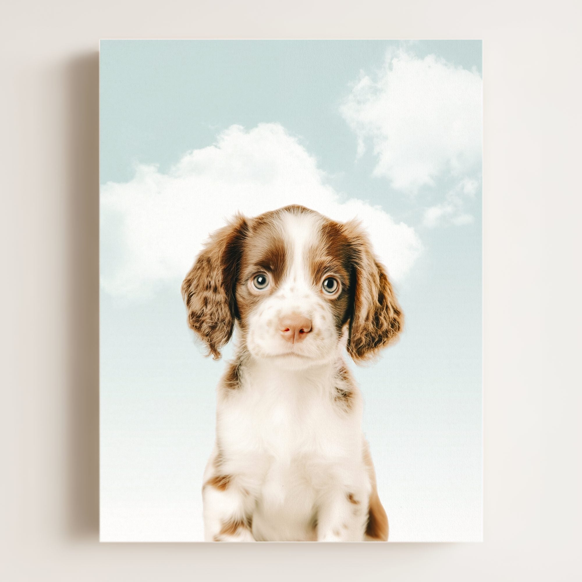 Baby Puppy Springer Spaniel Portrait
