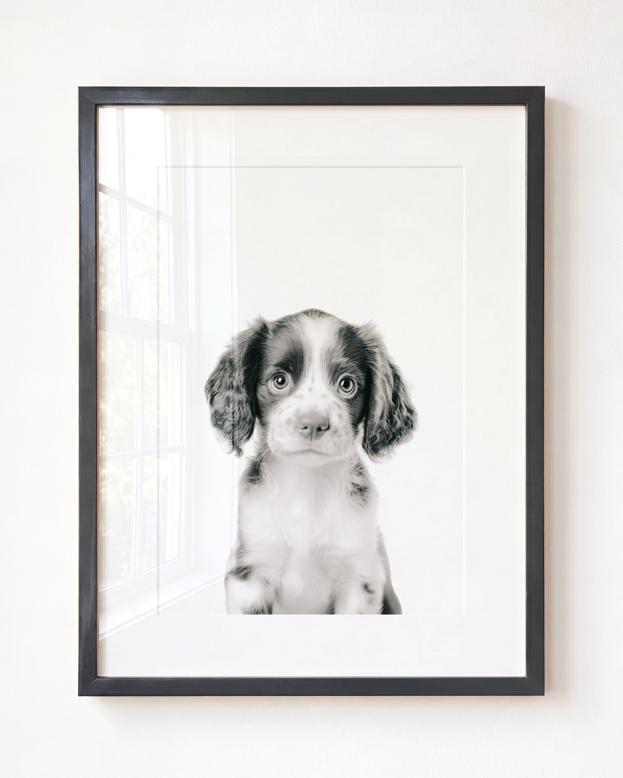 Baby Puppy Springer Spaniel Portrait