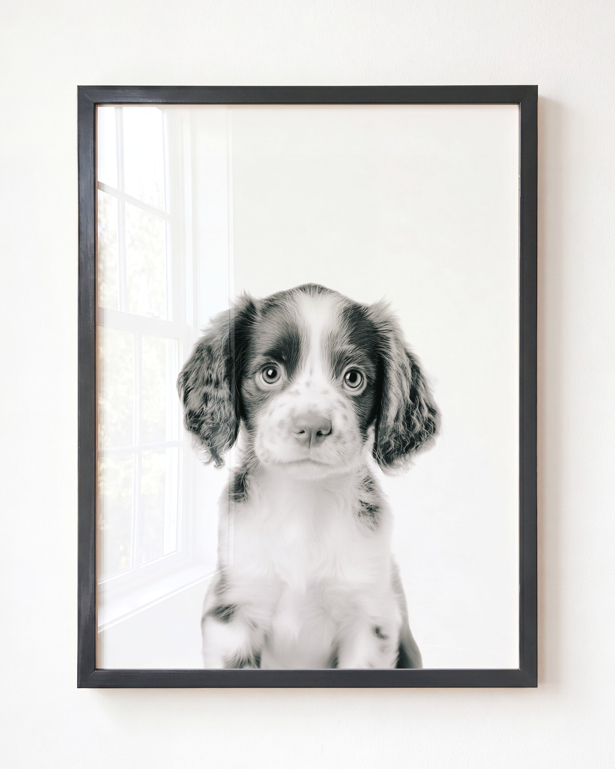 Baby Puppy Springer Spaniel Portrait