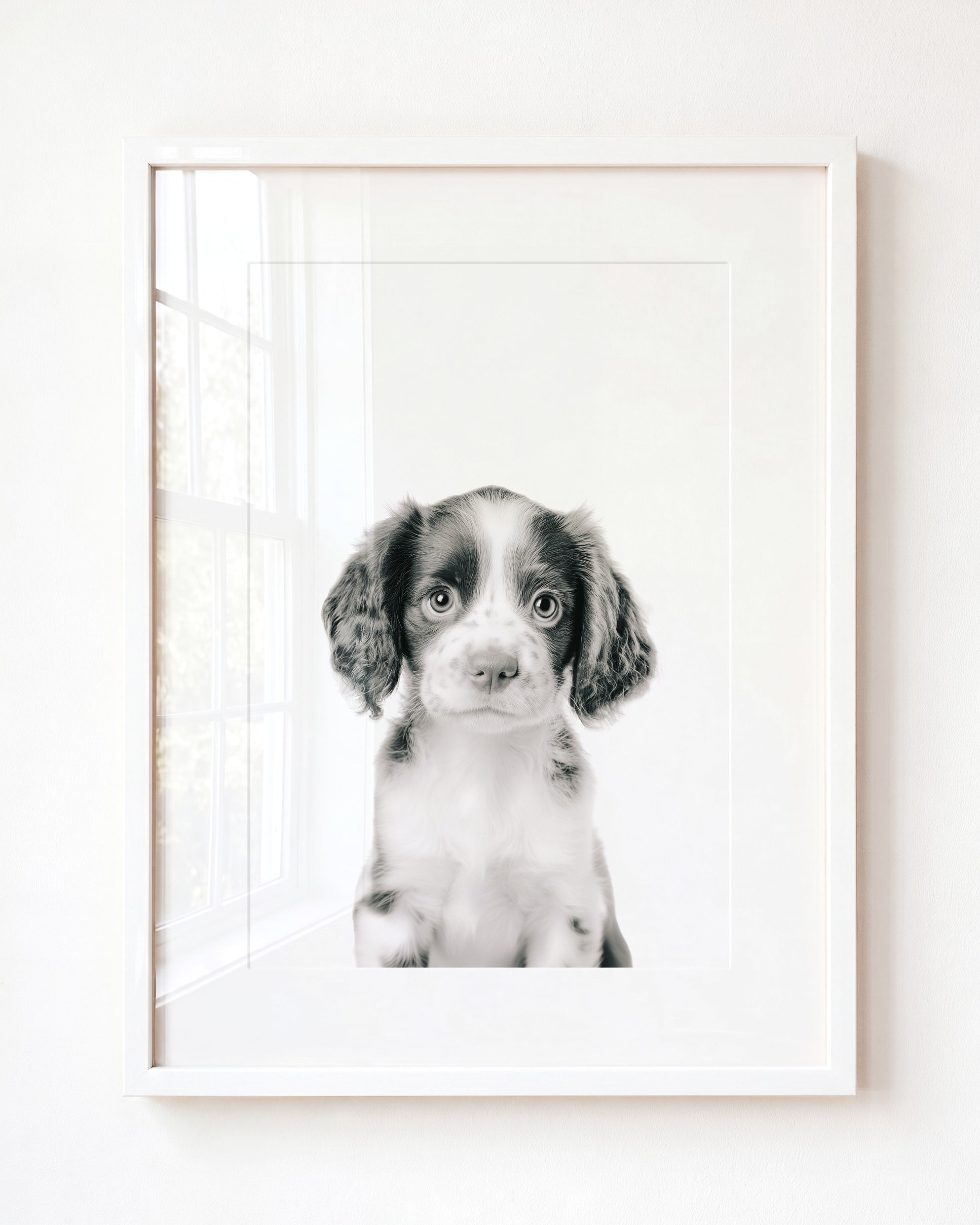 Baby Puppy Springer Spaniel Portrait