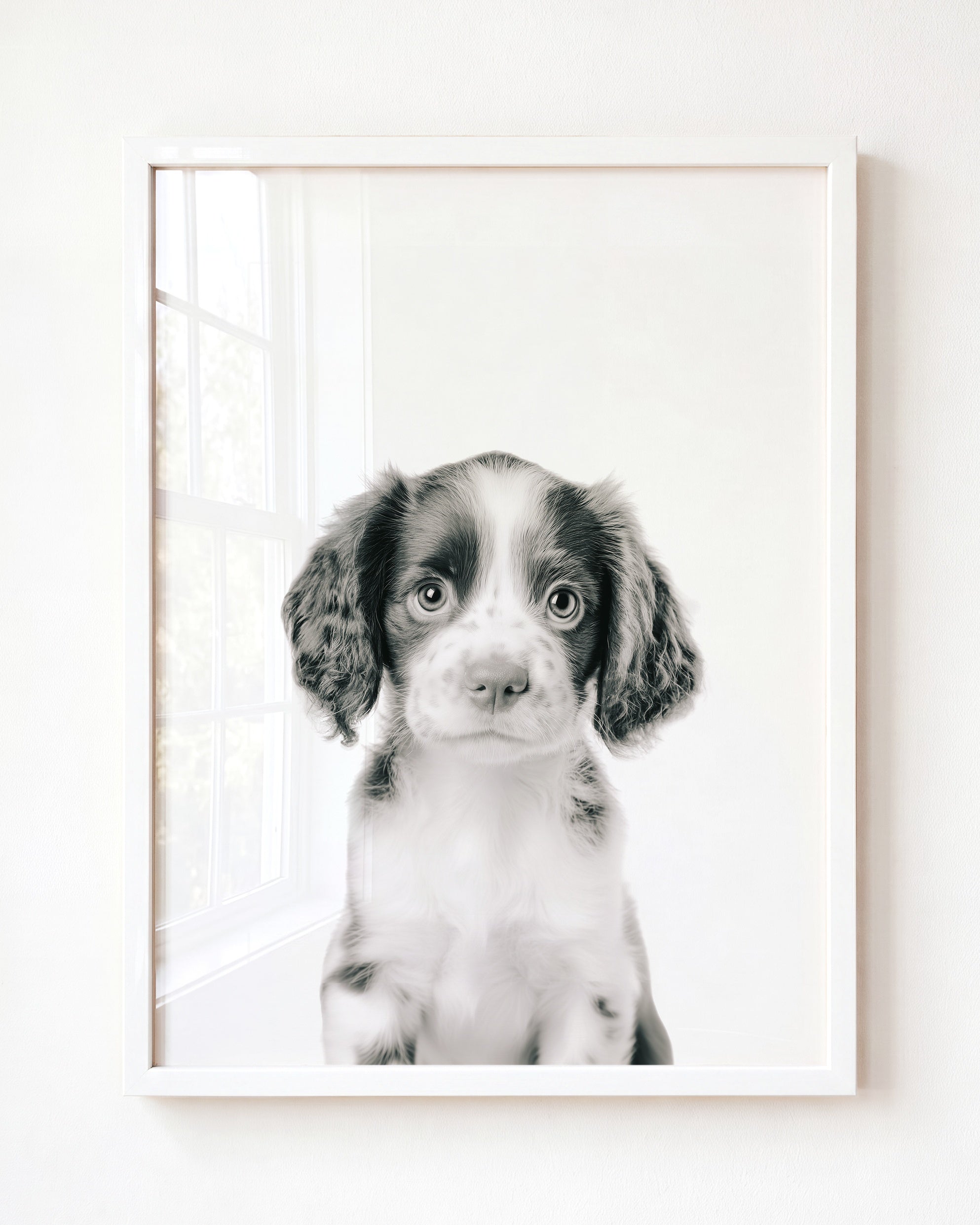 Baby Puppy Springer Spaniel Portrait