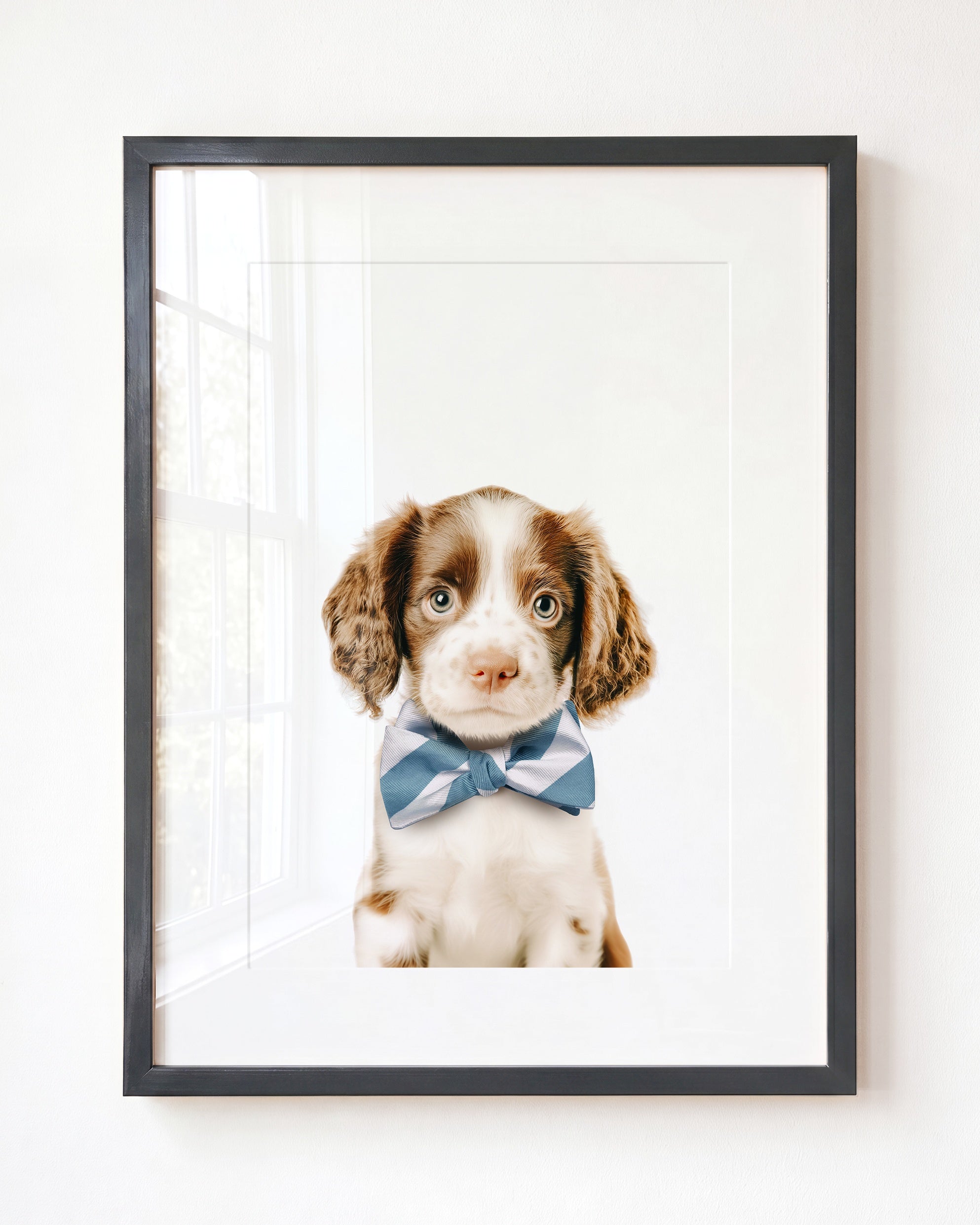 Baby Puppy Springer Spaniel Portrait
