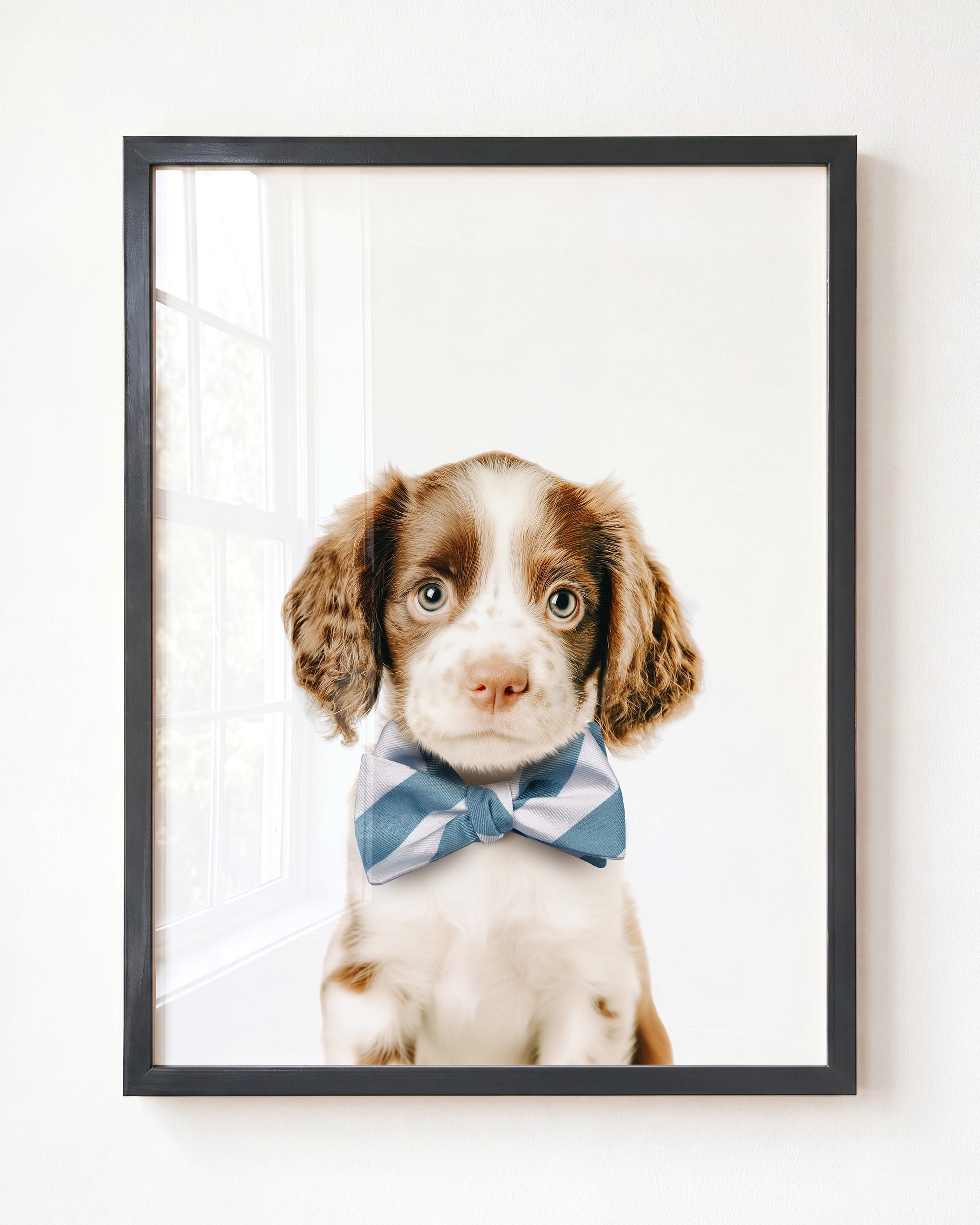 Baby Puppy Springer Spaniel Portrait