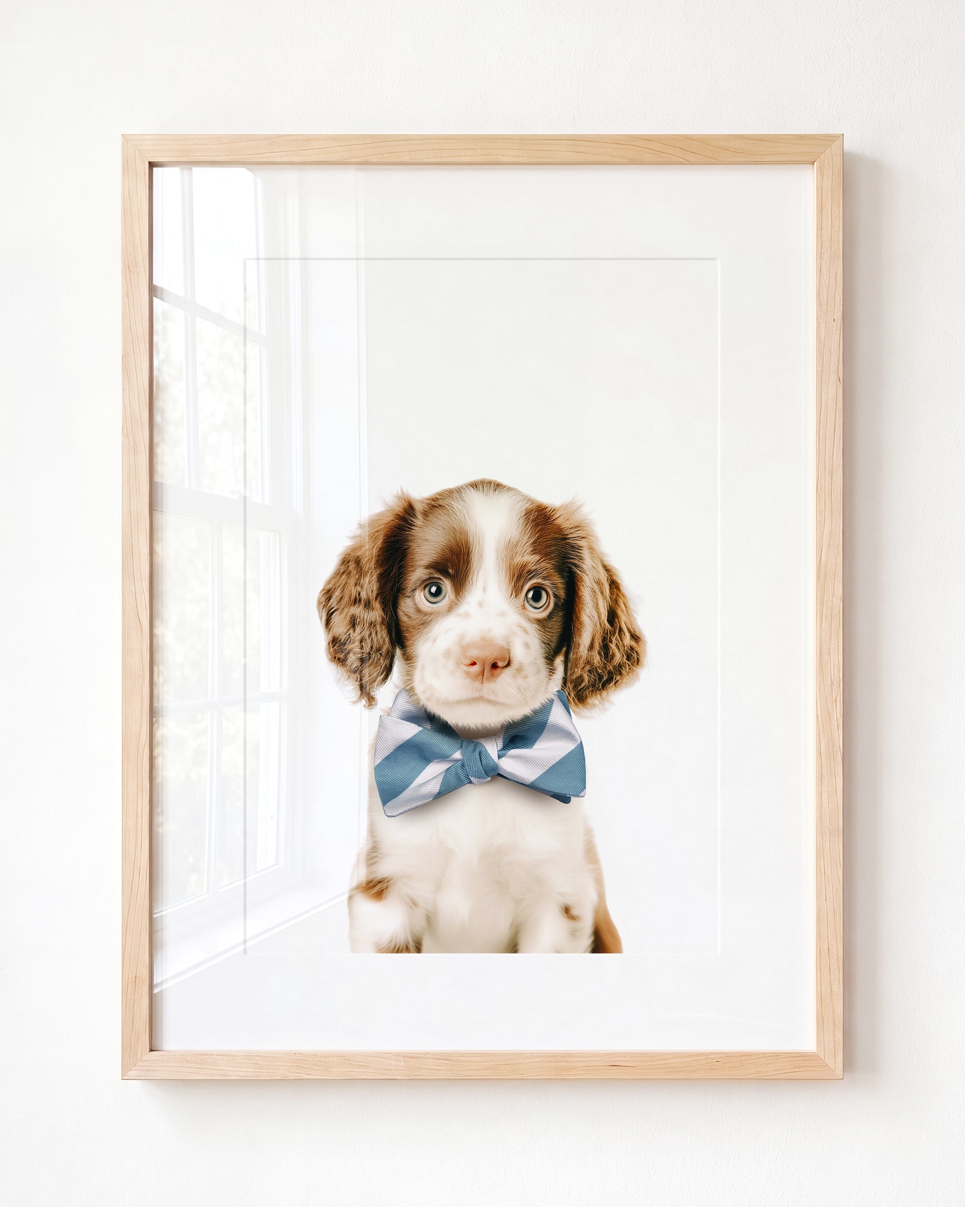 Baby Puppy Springer Spaniel Portrait
