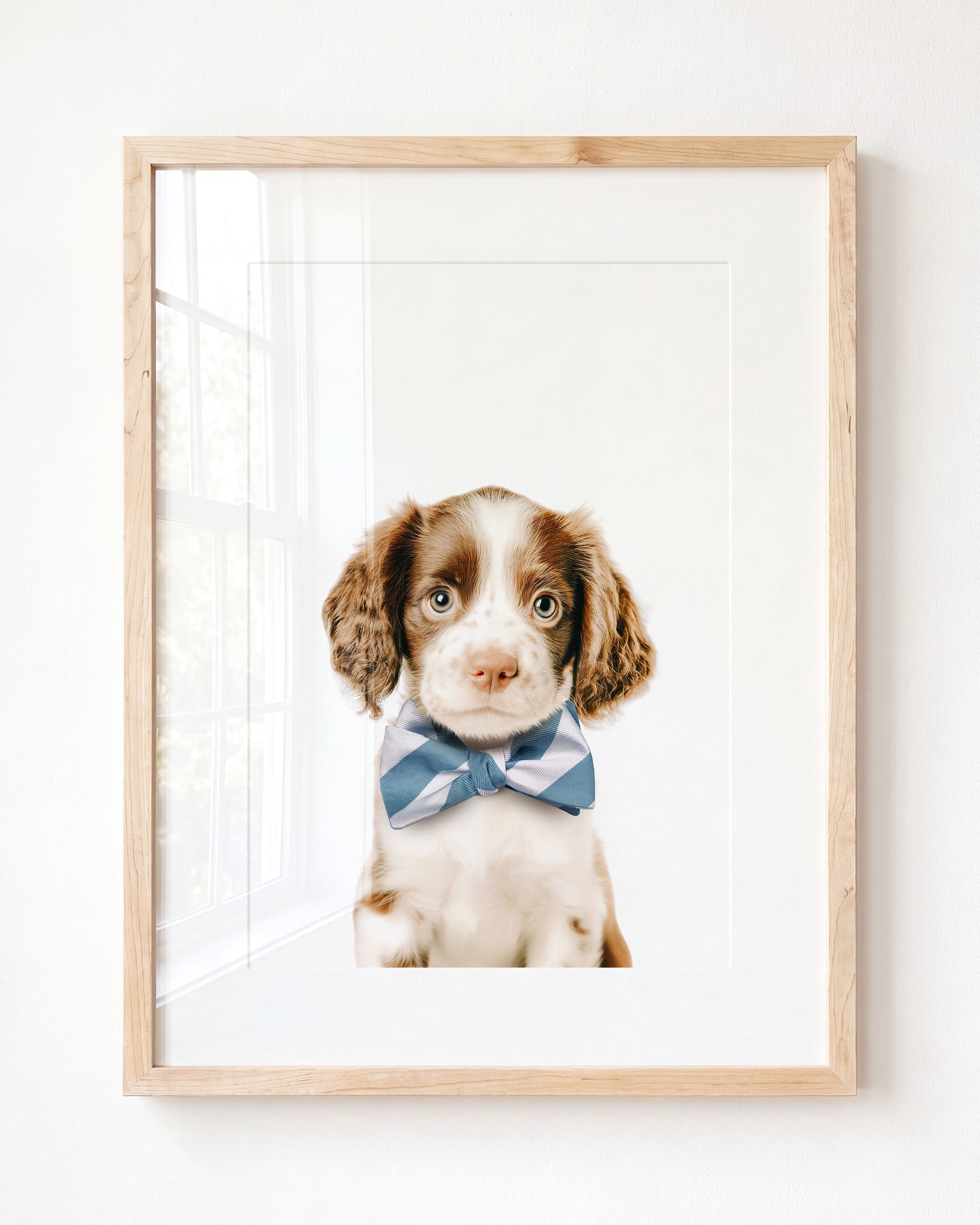 Baby Puppy Springer Spaniel Portrait