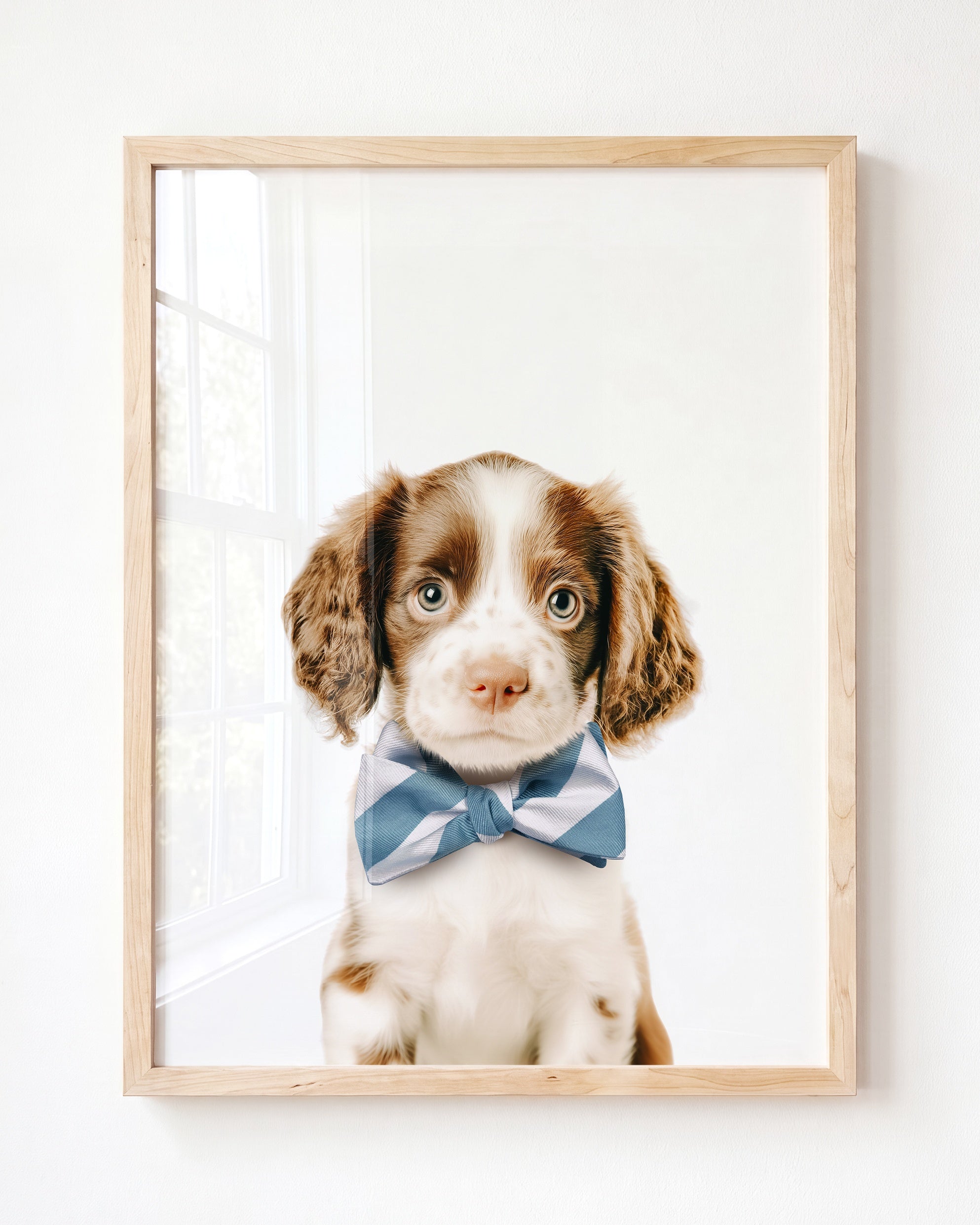 Baby Puppy Springer Spaniel Portrait