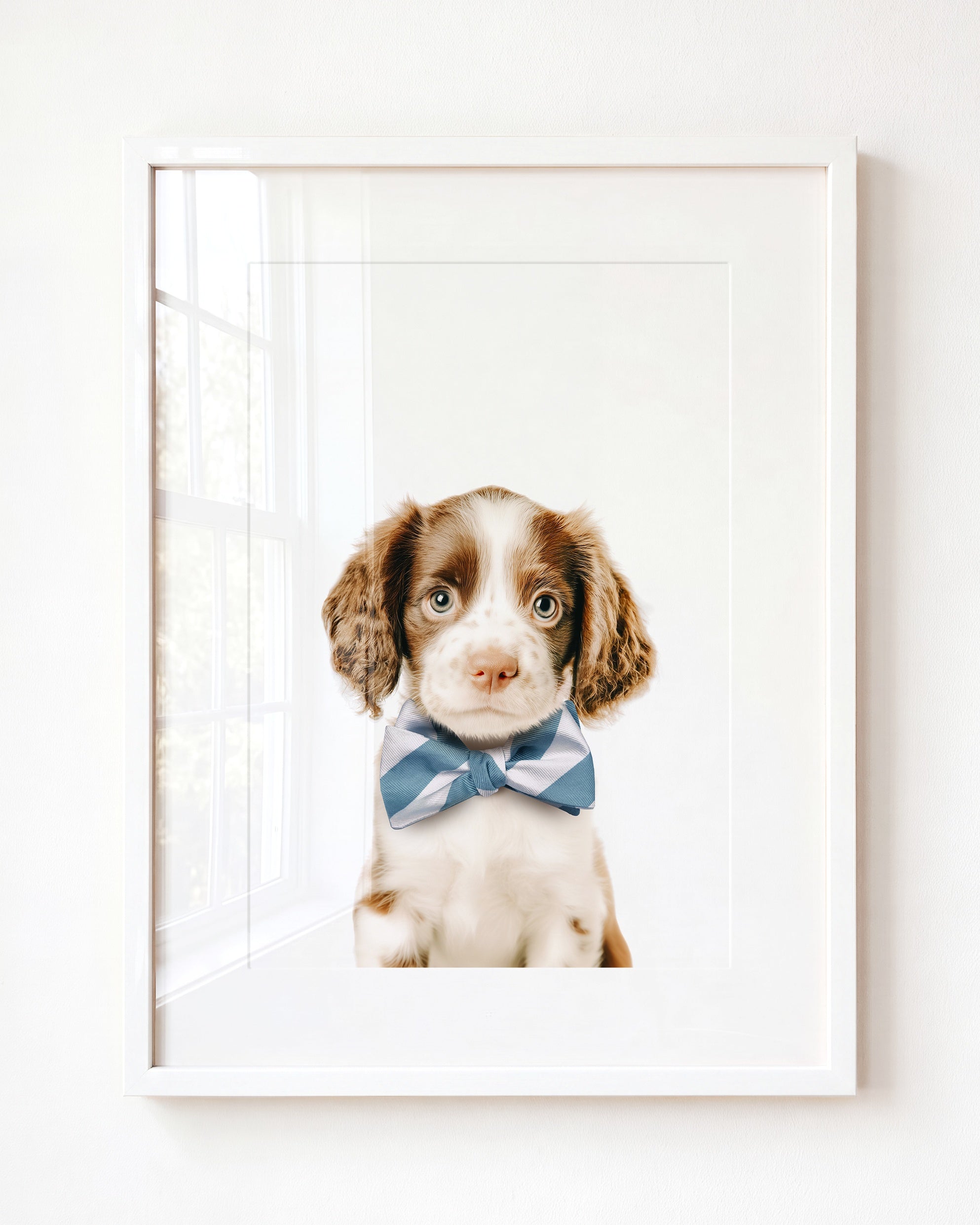 Baby Puppy Springer Spaniel Portrait