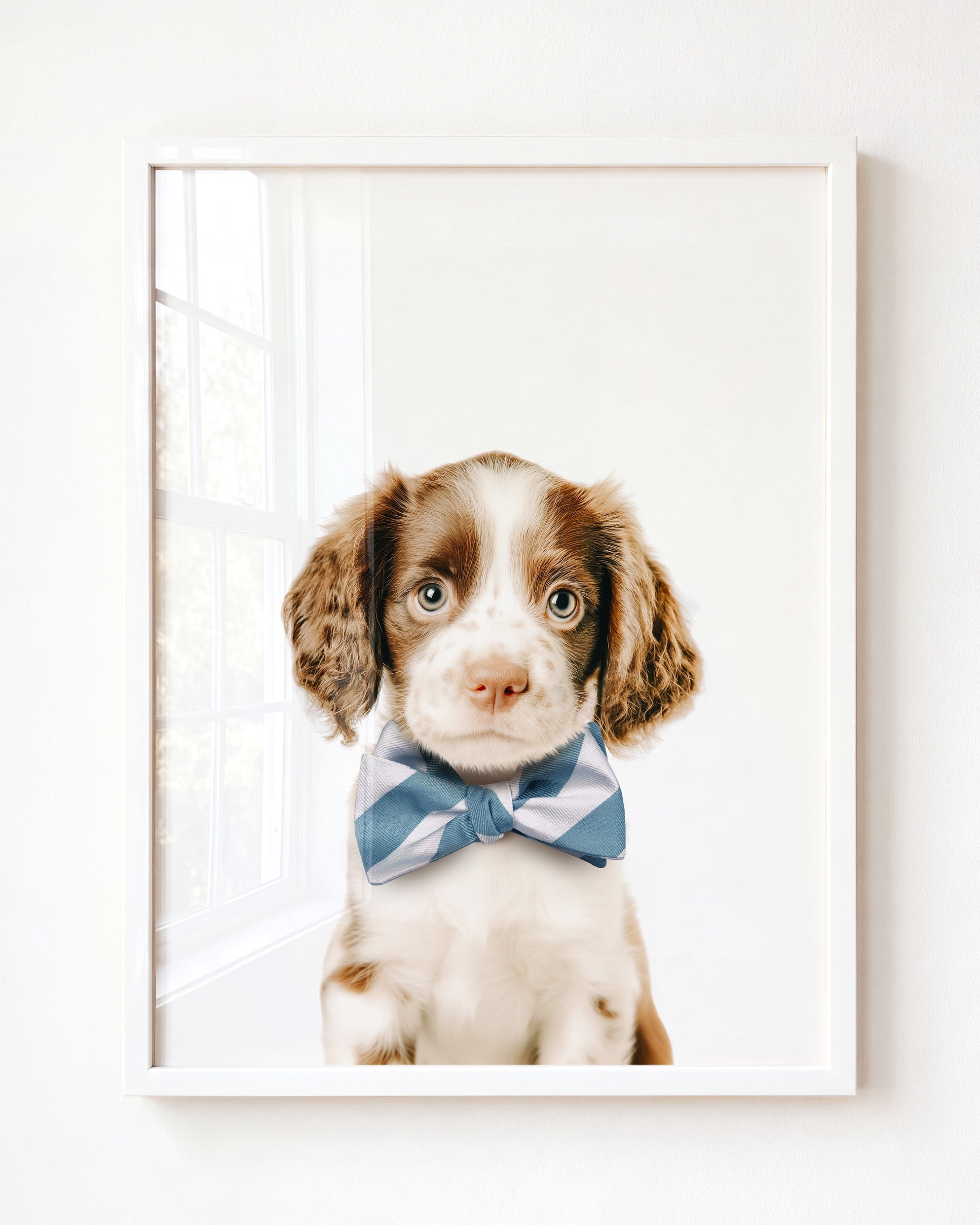 Baby Puppy Springer Spaniel Portrait