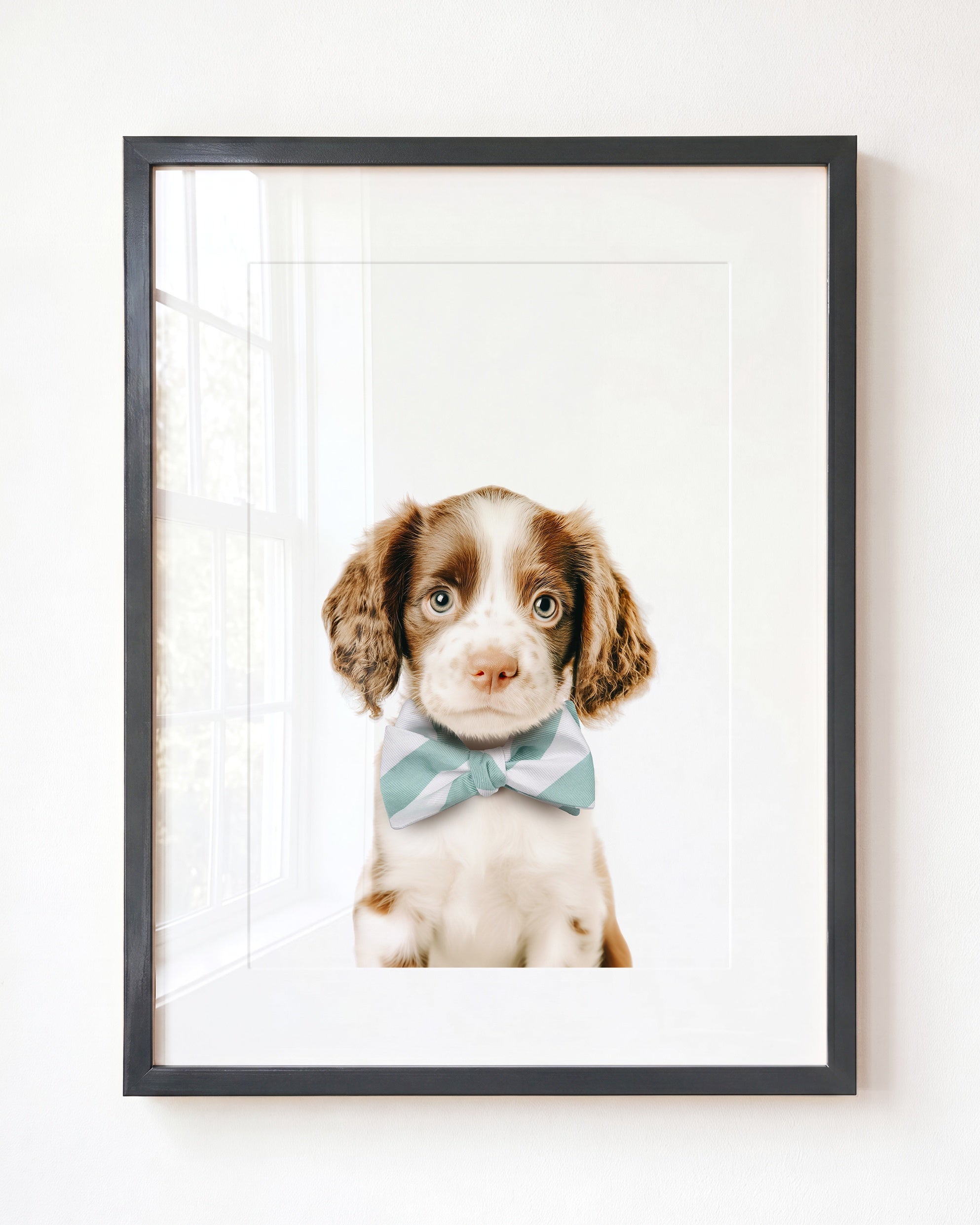 Baby Puppy Springer Spaniel Portrait