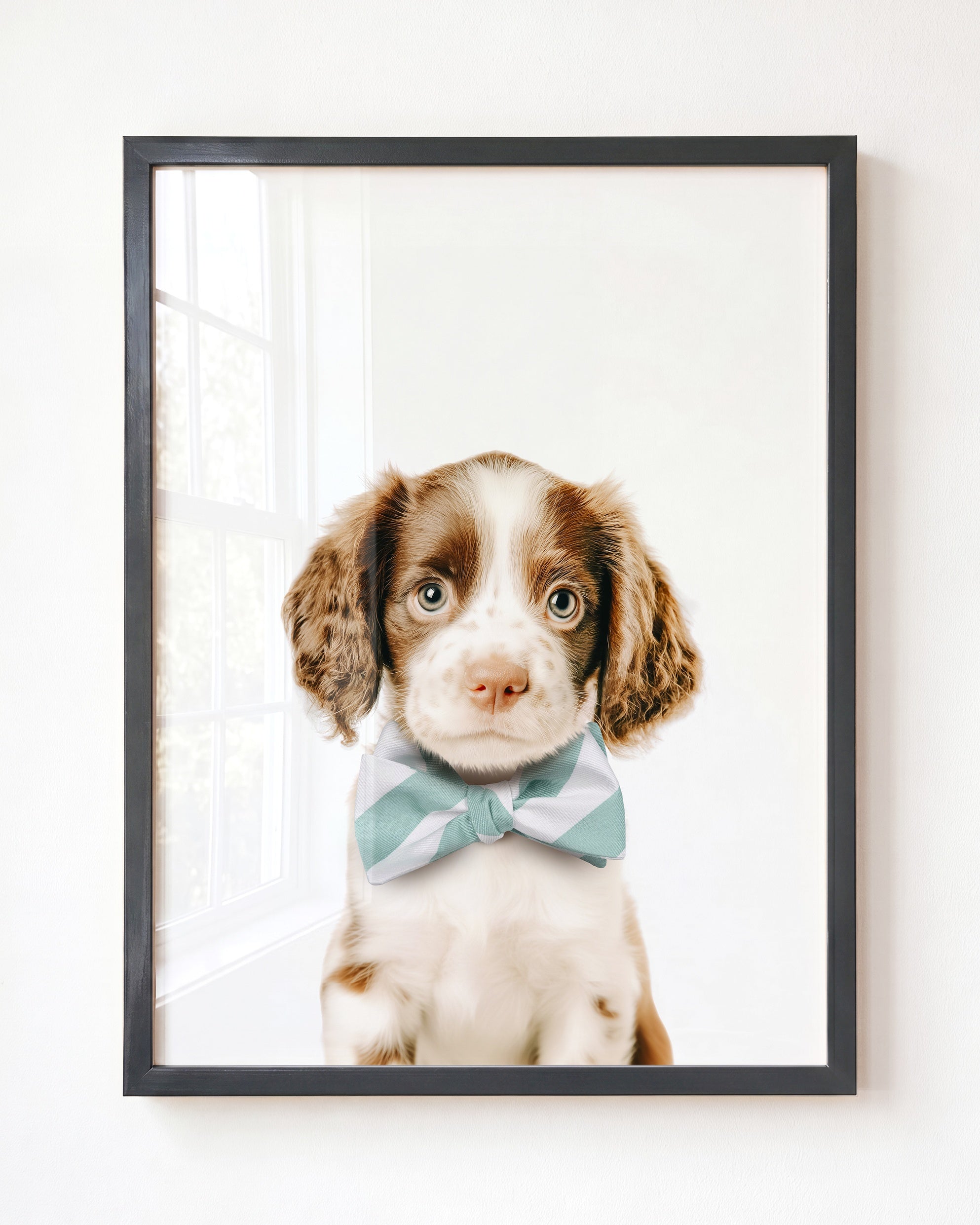 Baby Puppy Springer Spaniel Portrait