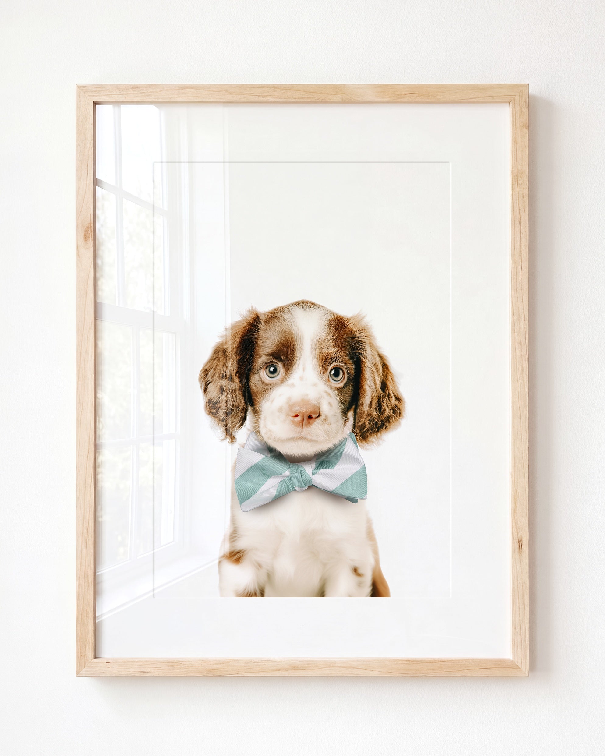 Baby Puppy Springer Spaniel Portrait