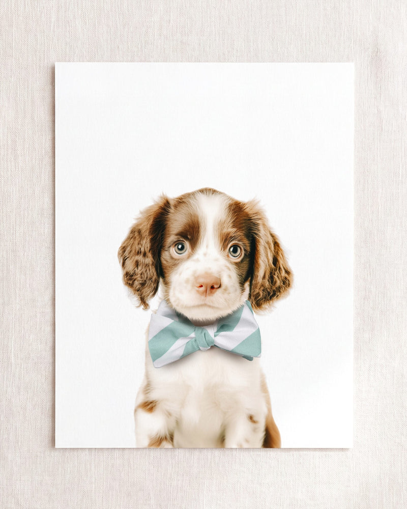 Bow Tie