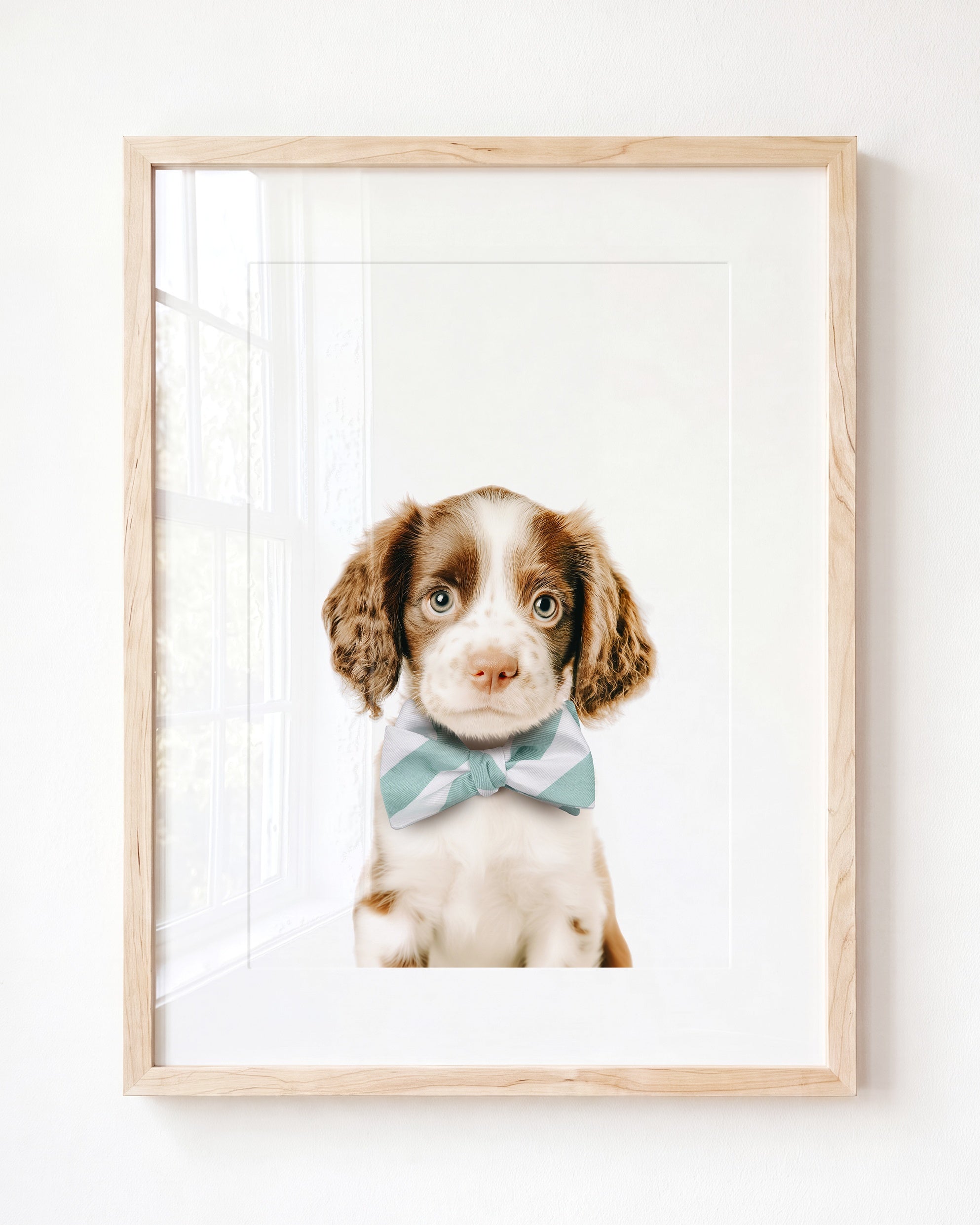 Baby Puppy Springer Spaniel Portrait