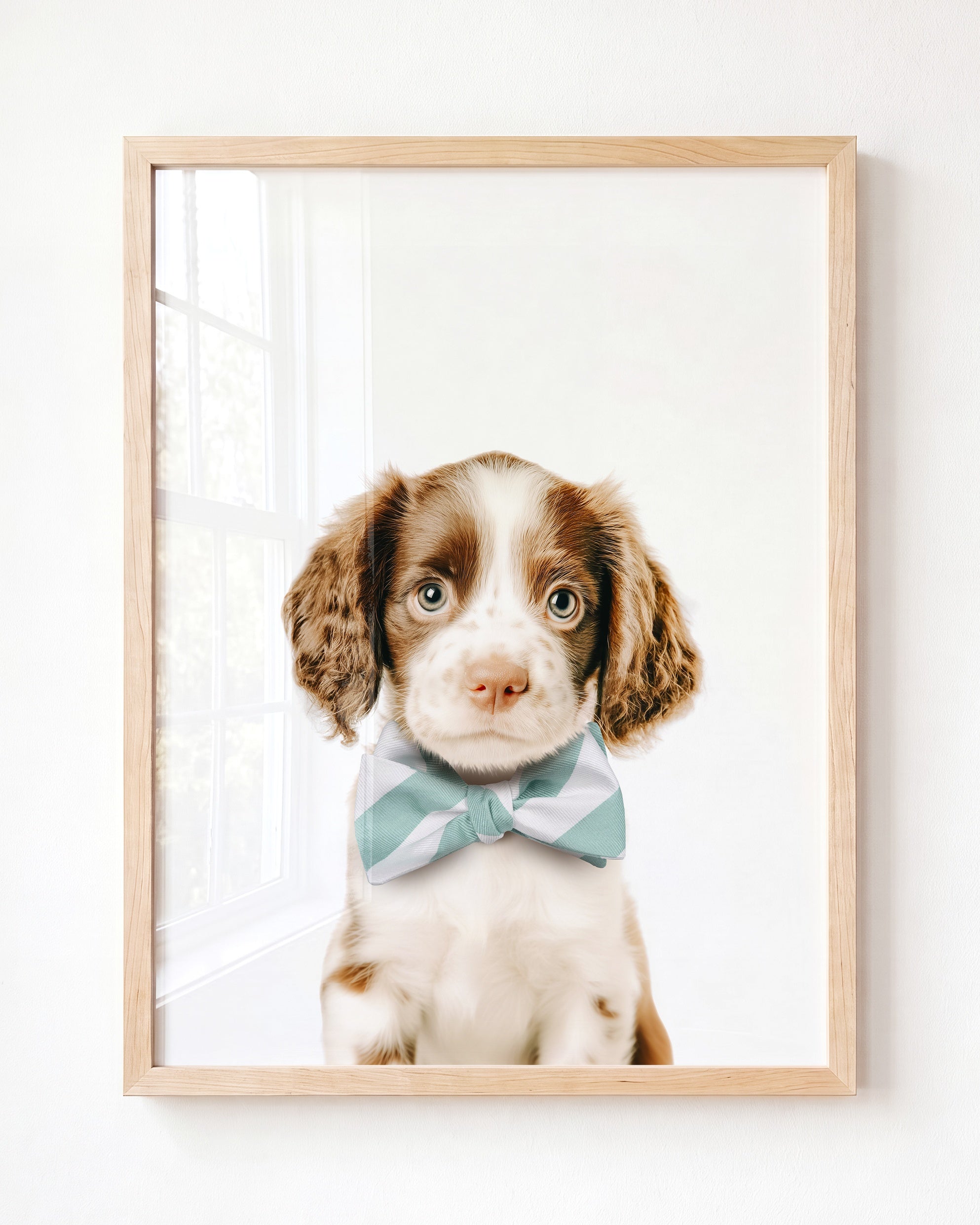 Baby Puppy Springer Spaniel Portrait