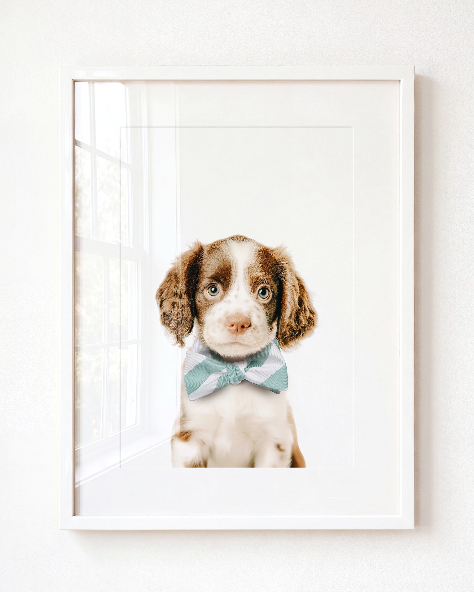 Baby Puppy Springer Spaniel Portrait
