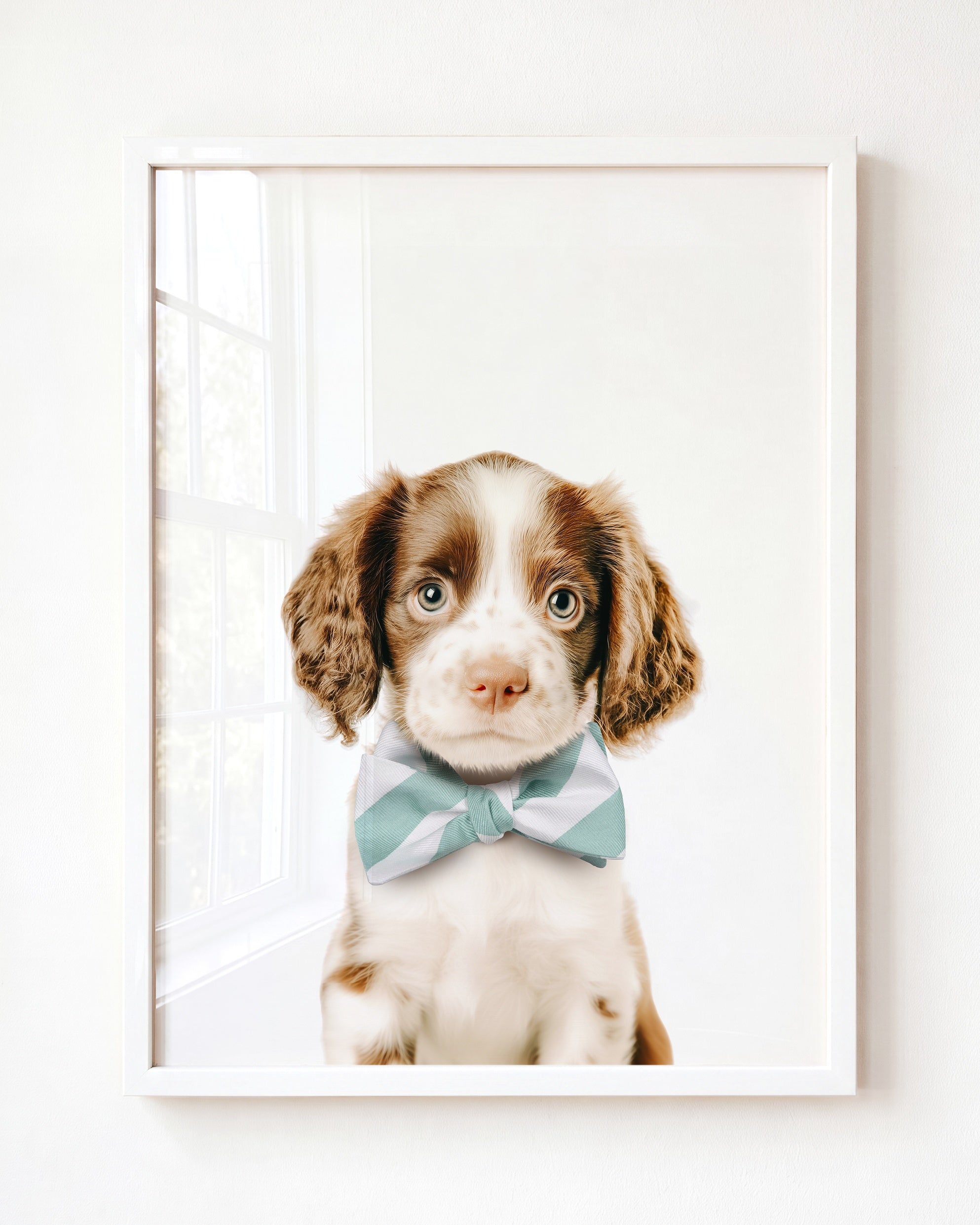 Baby Puppy Springer Spaniel Portrait