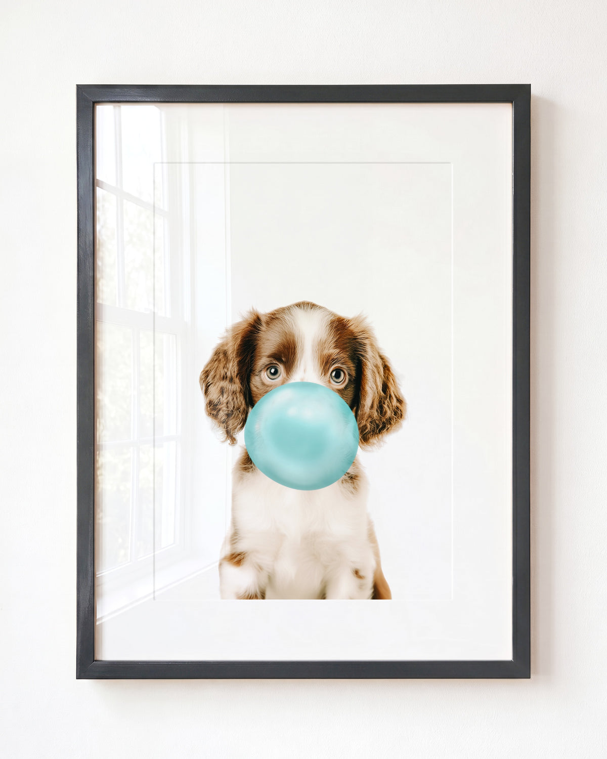 Baby Puppy Springer Spaniel Portrait