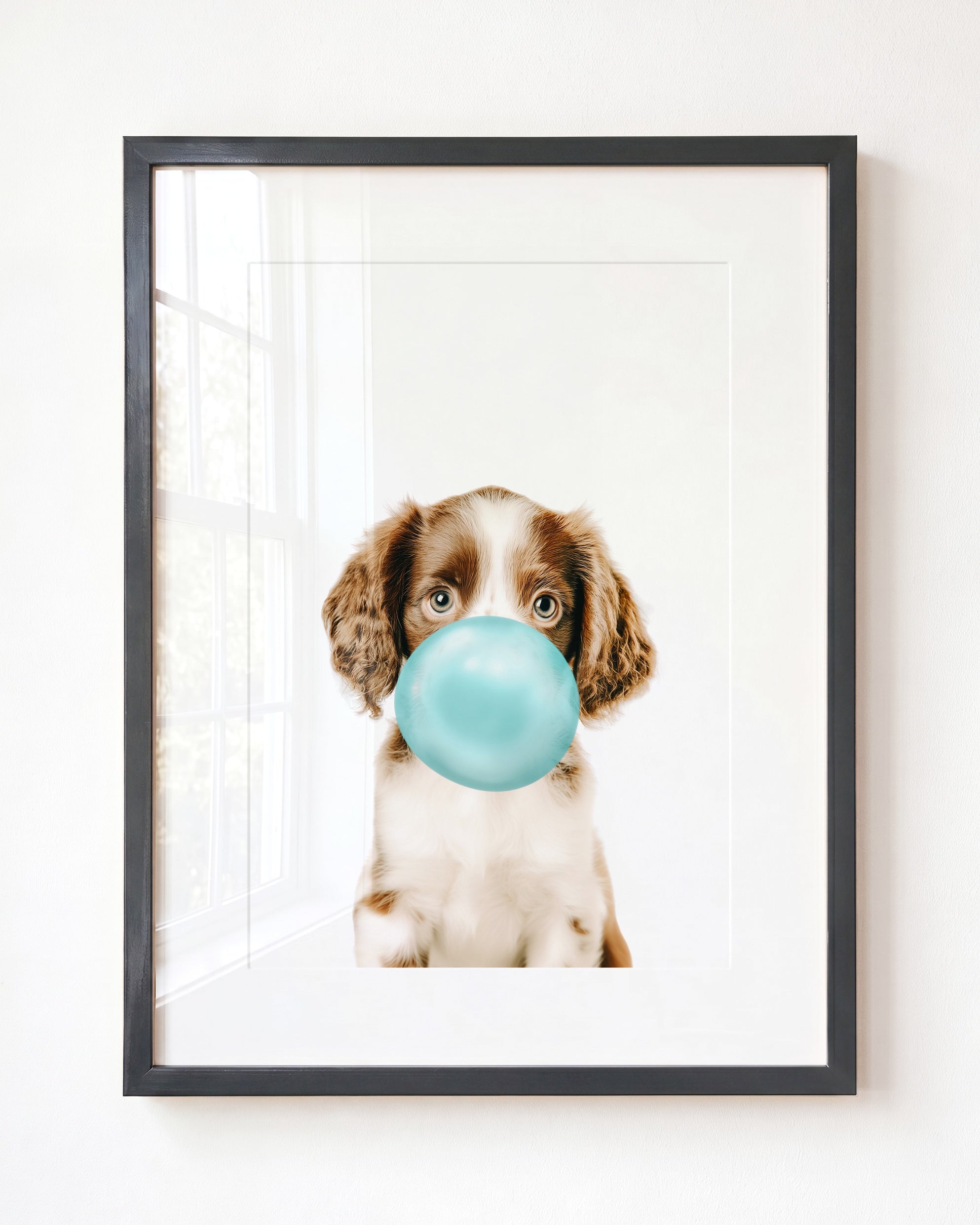 Baby Puppy Springer Spaniel Portrait