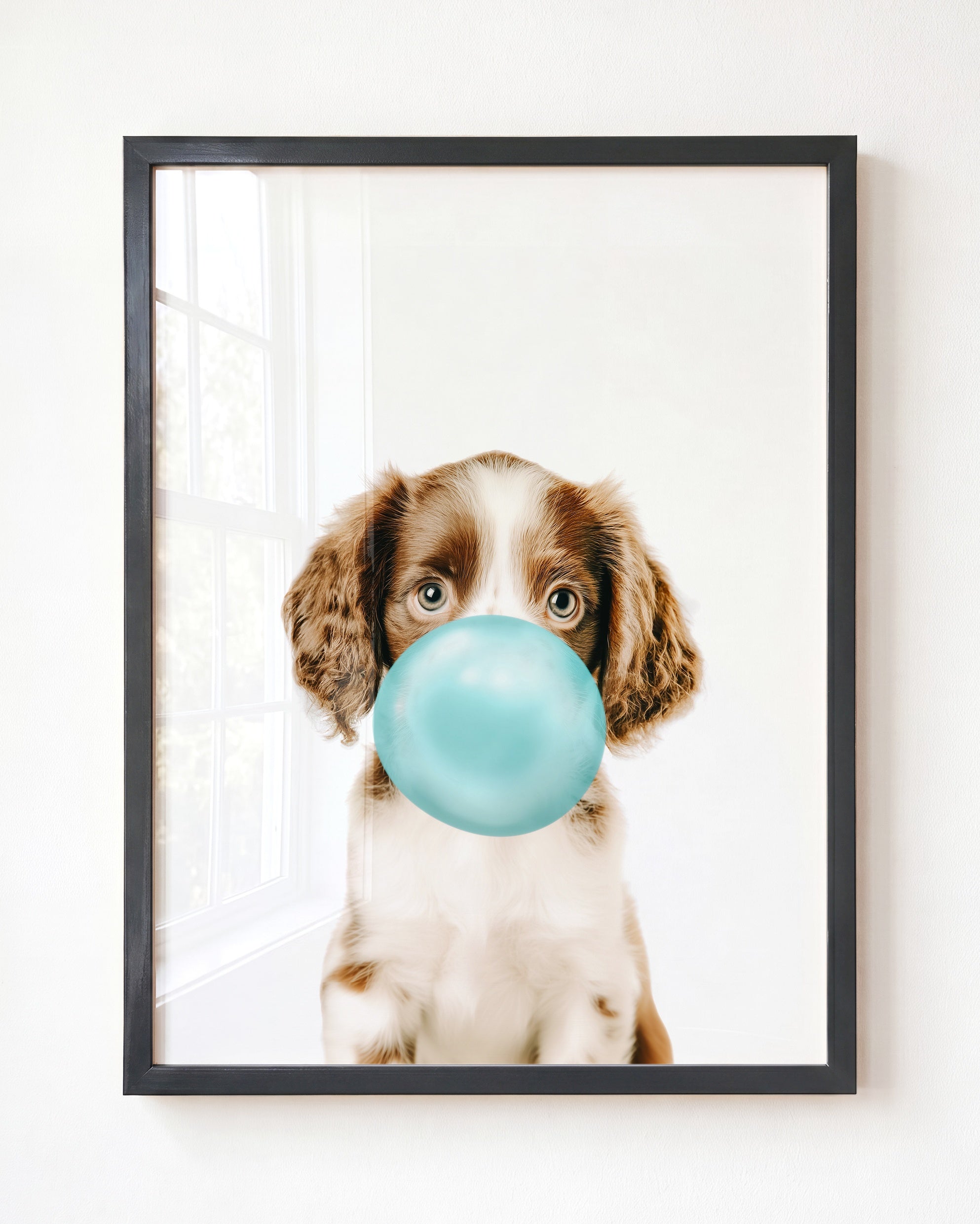 Baby Puppy Springer Spaniel Portrait