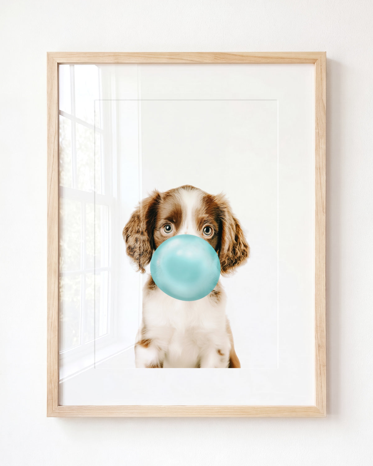 Baby Puppy Springer Spaniel Portrait