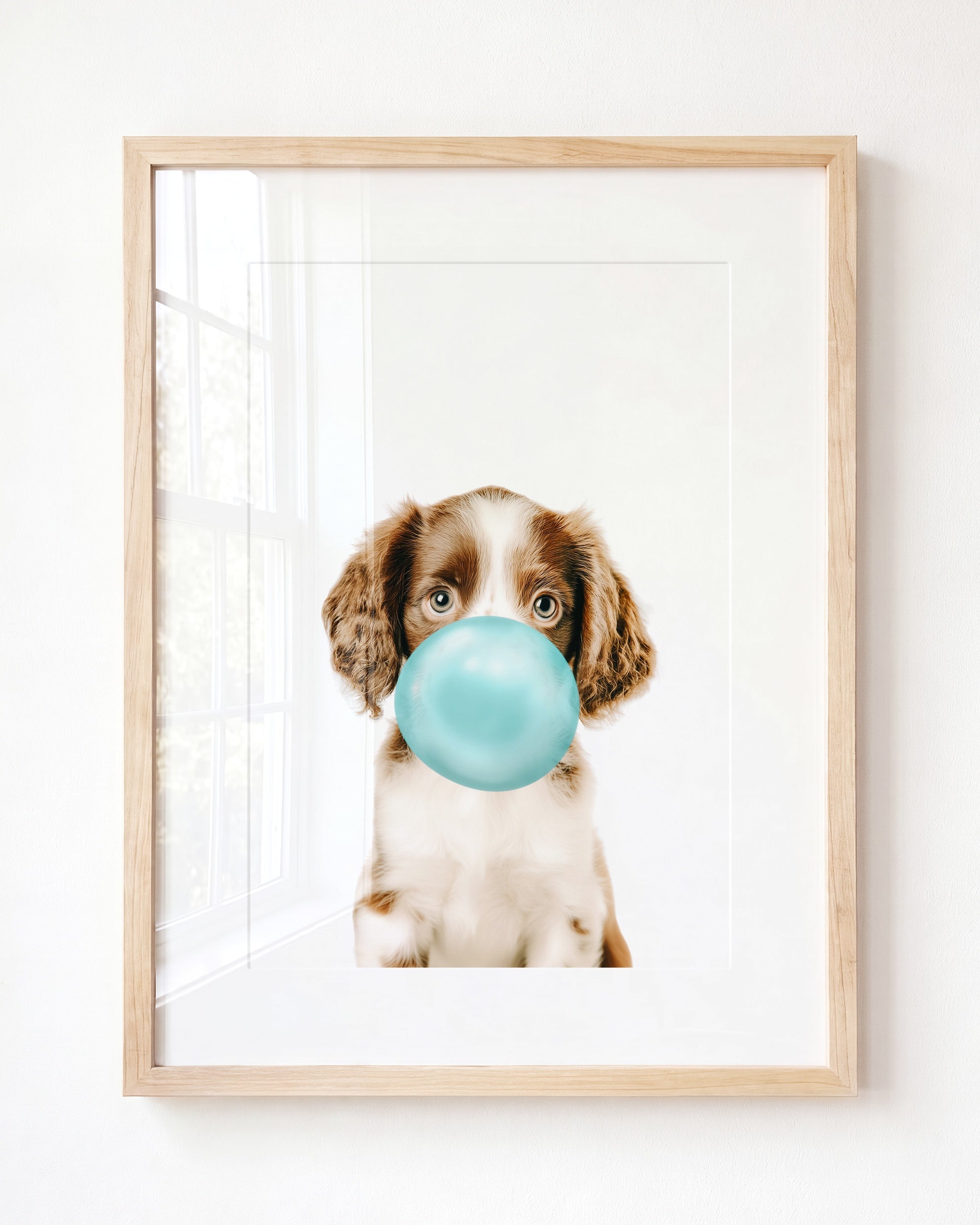 Baby Puppy Springer Spaniel Portrait