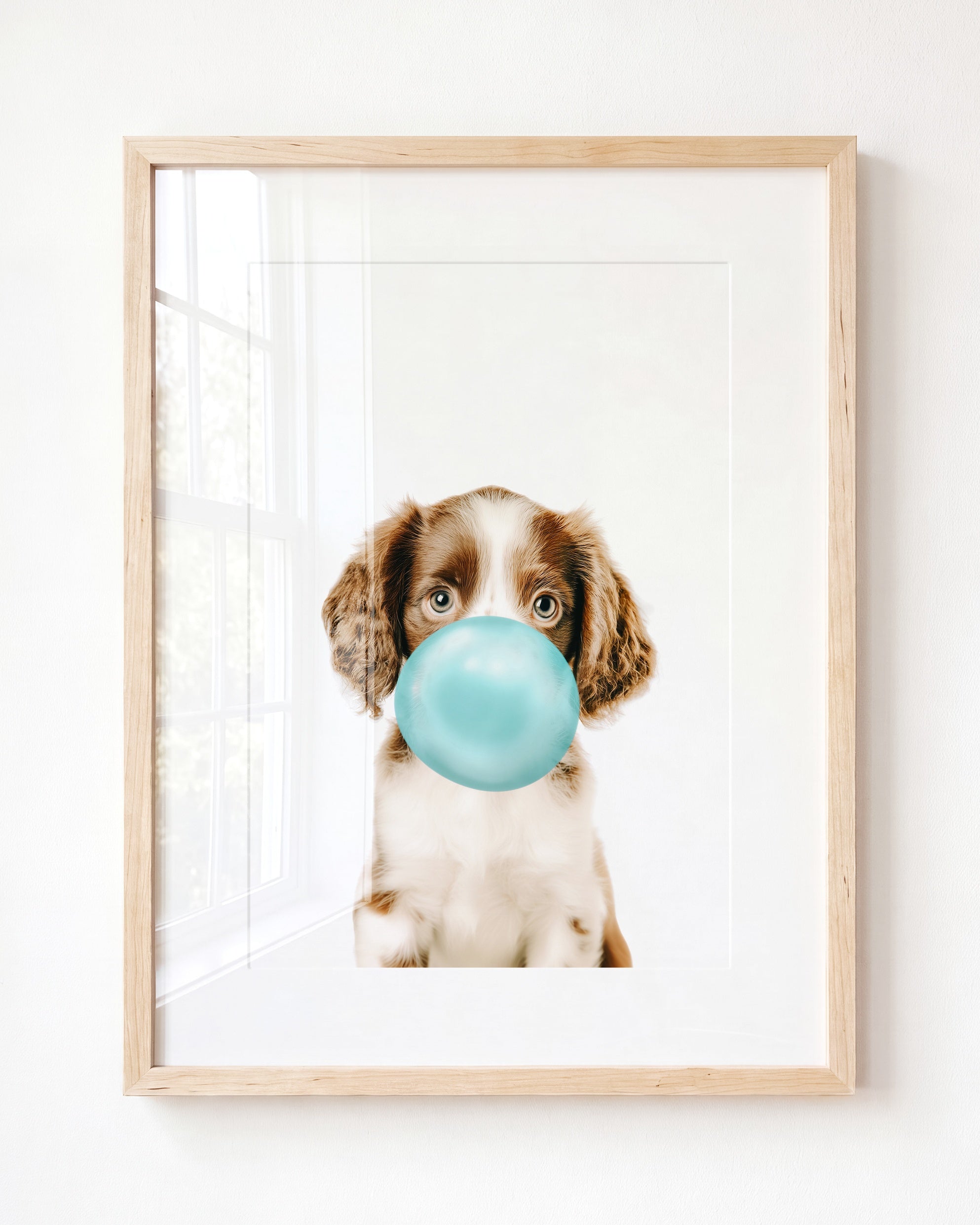 Baby Puppy Springer Spaniel Portrait