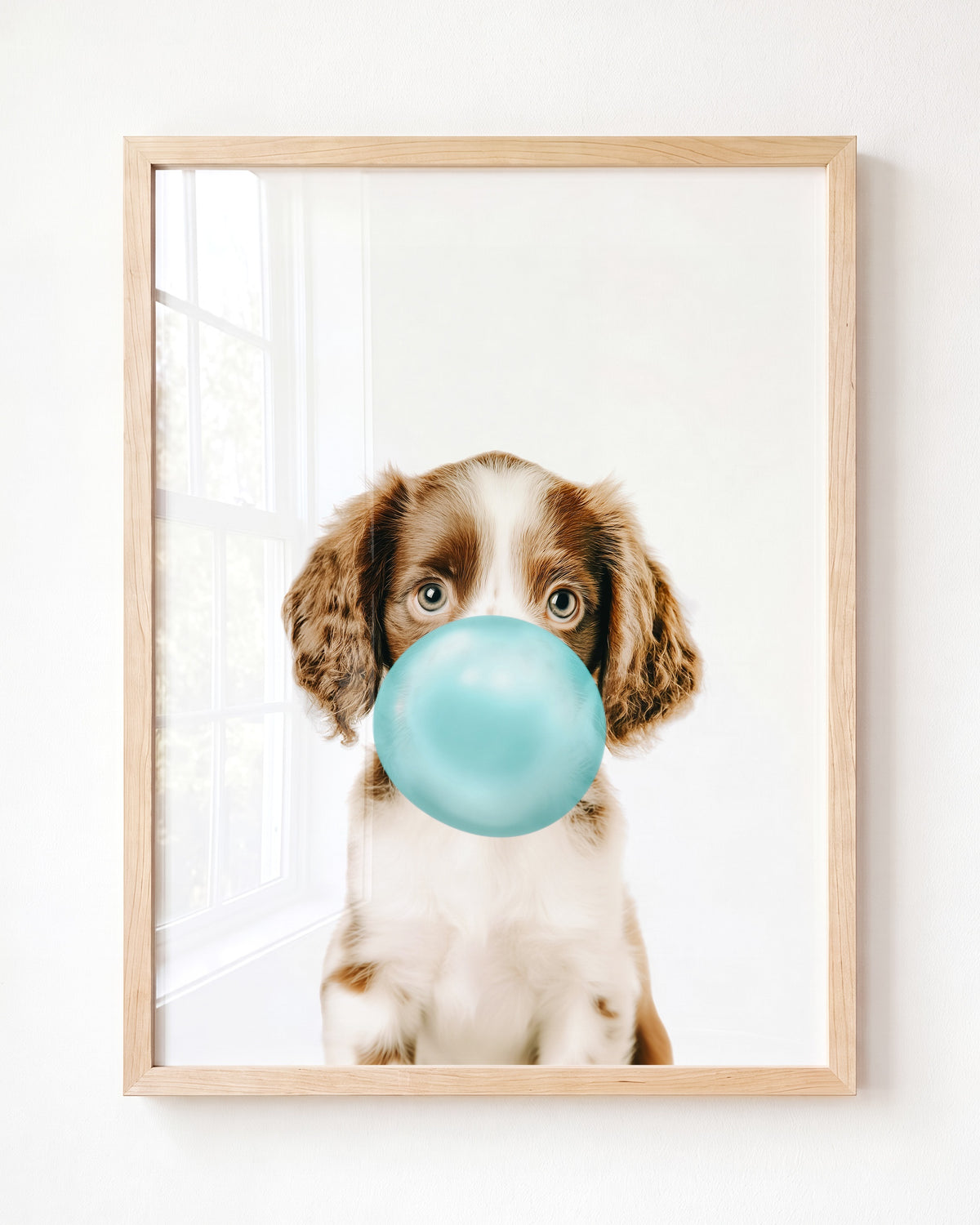 Baby Puppy Springer Spaniel Portrait