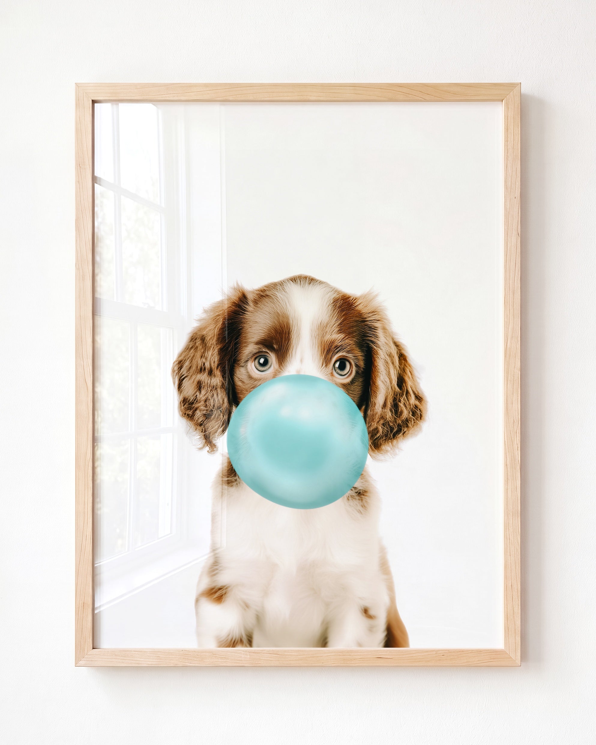 Baby Puppy Springer Spaniel Portrait