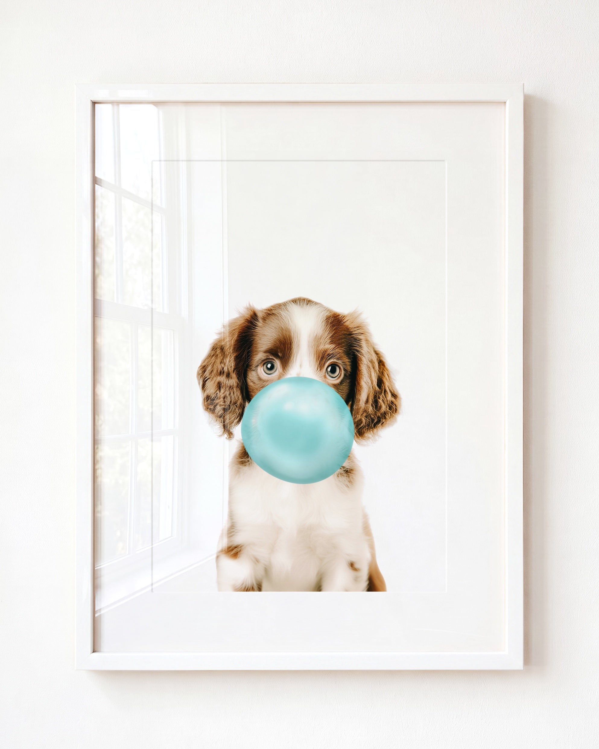 Baby Puppy Springer Spaniel Portrait