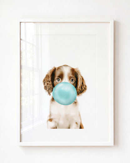 Baby Puppy Springer Spaniel Portrait