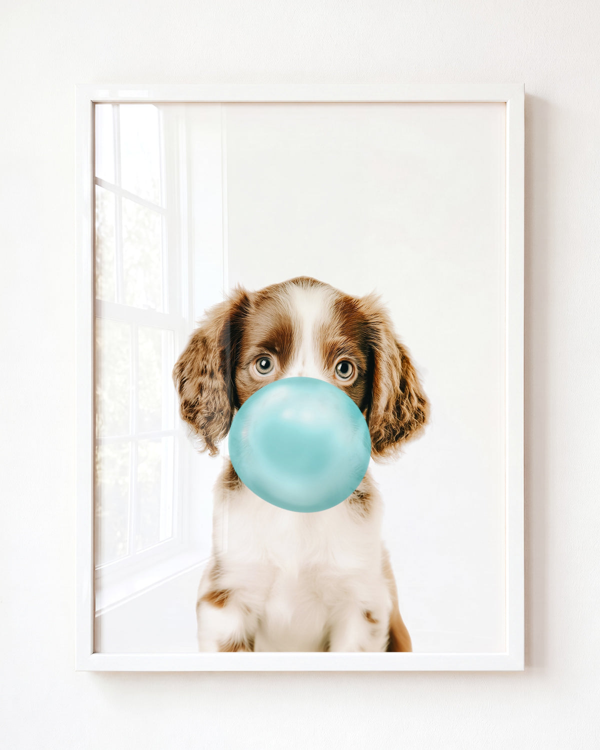 Baby Puppy Springer Spaniel Portrait