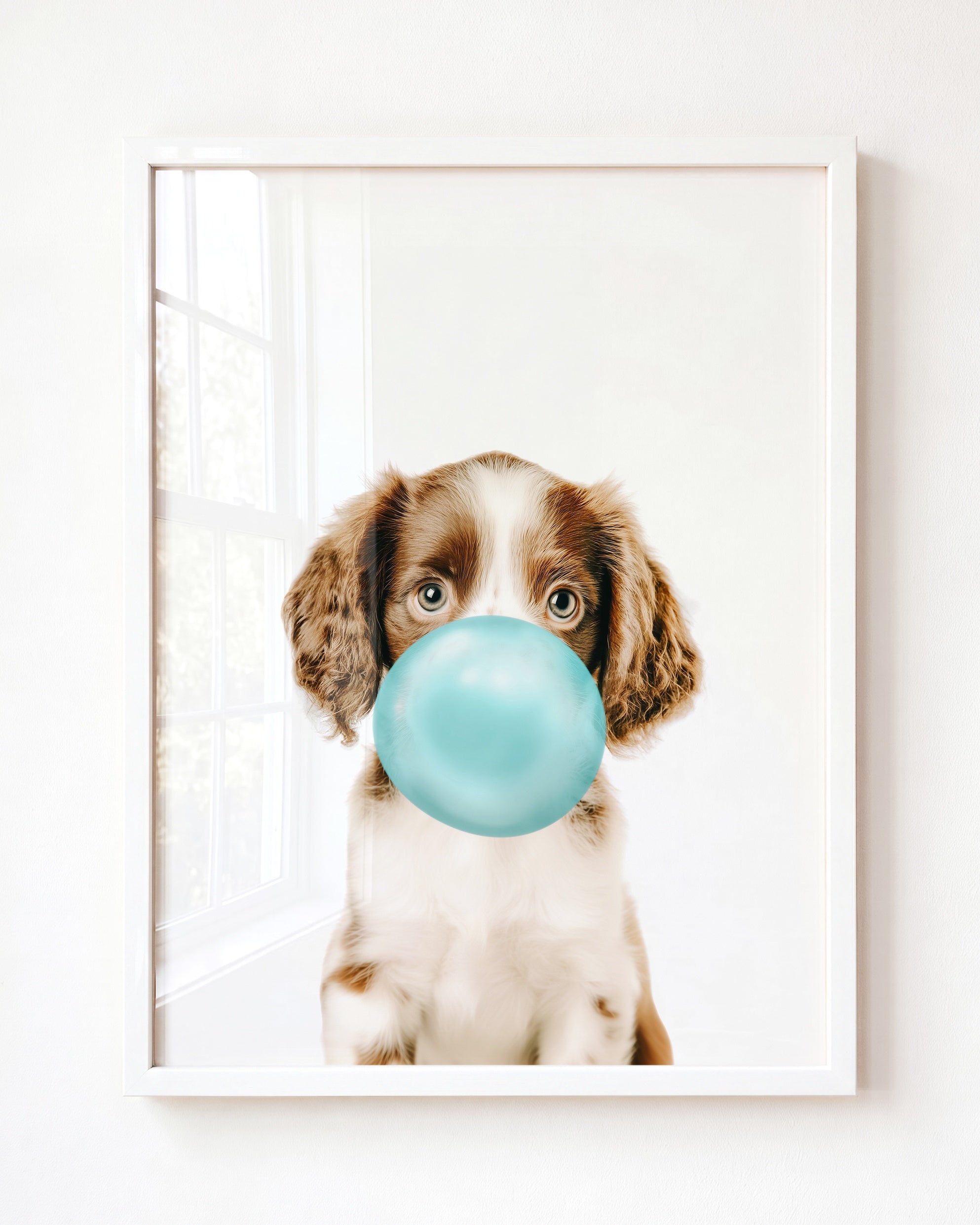 Baby Puppy Springer Spaniel Portrait