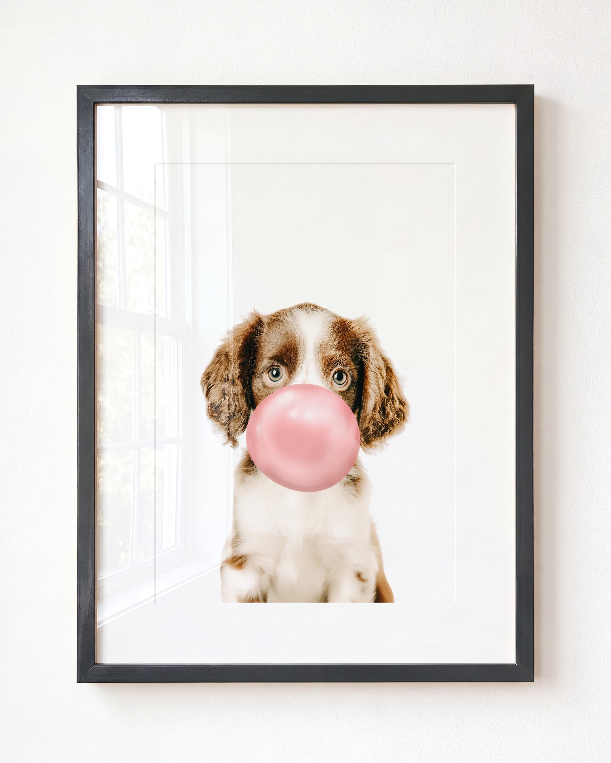 Baby Puppy Springer Spaniel Portrait