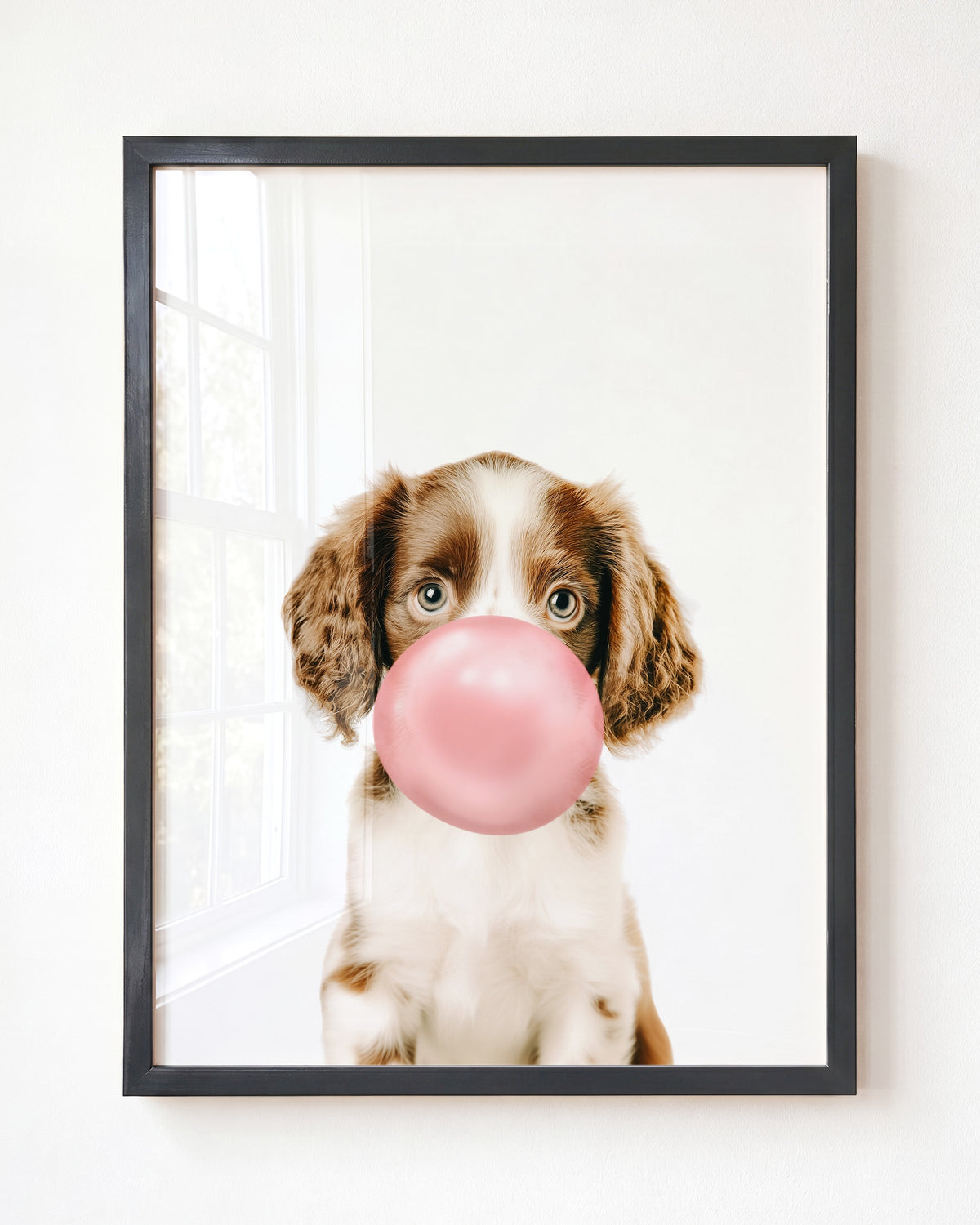 Baby Puppy Springer Spaniel Portrait
