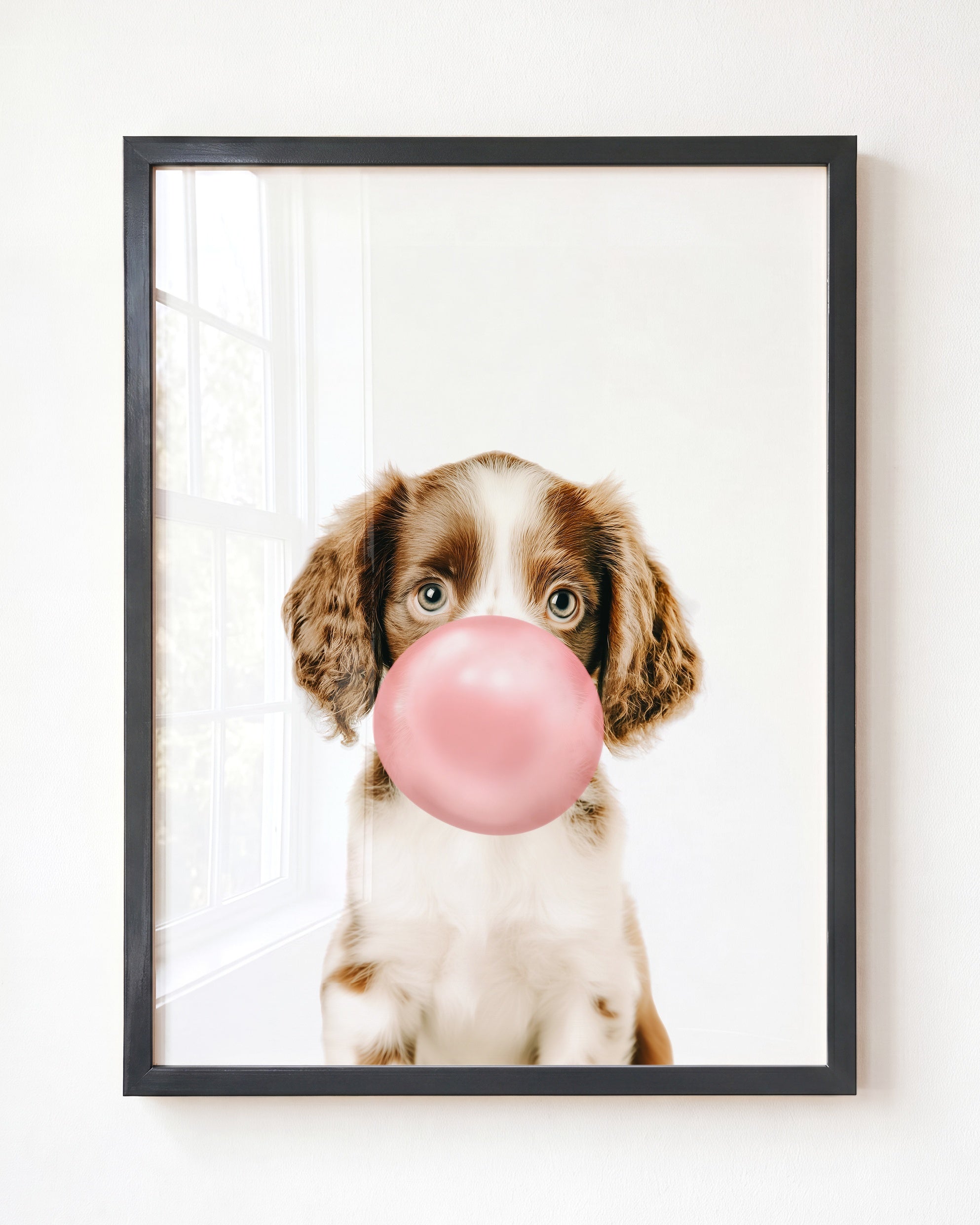 Baby Puppy Springer Spaniel Portrait