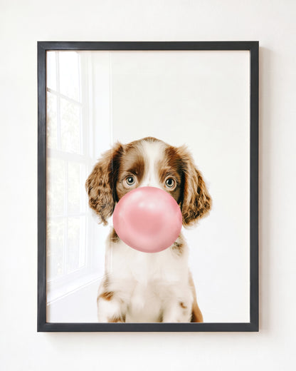 Baby Puppy Springer Spaniel Portrait
