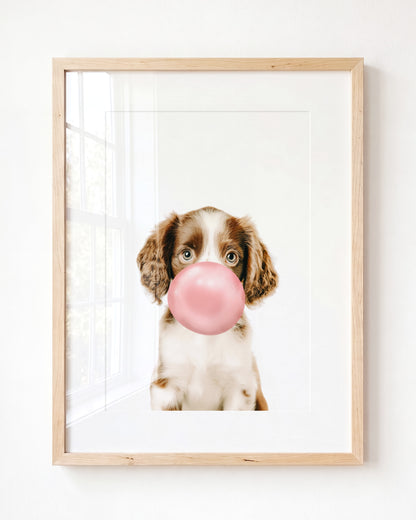 Baby Puppy Springer Spaniel Portrait