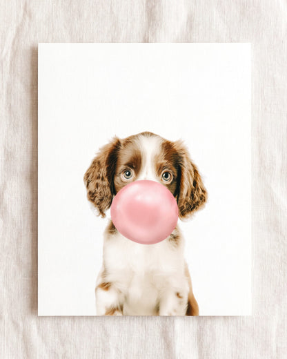 Baby Puppy Springer Spaniel Portrait