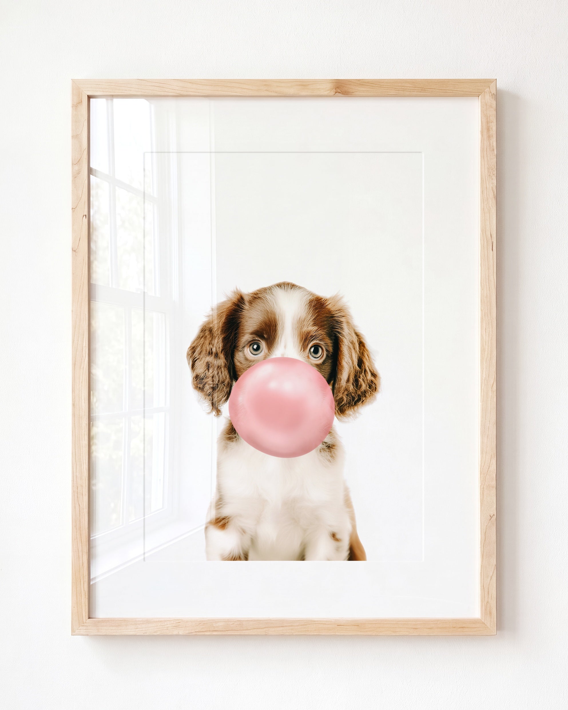 Baby Puppy Springer Spaniel Portrait
