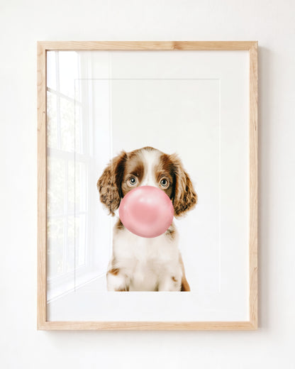 Baby Puppy Springer Spaniel Portrait