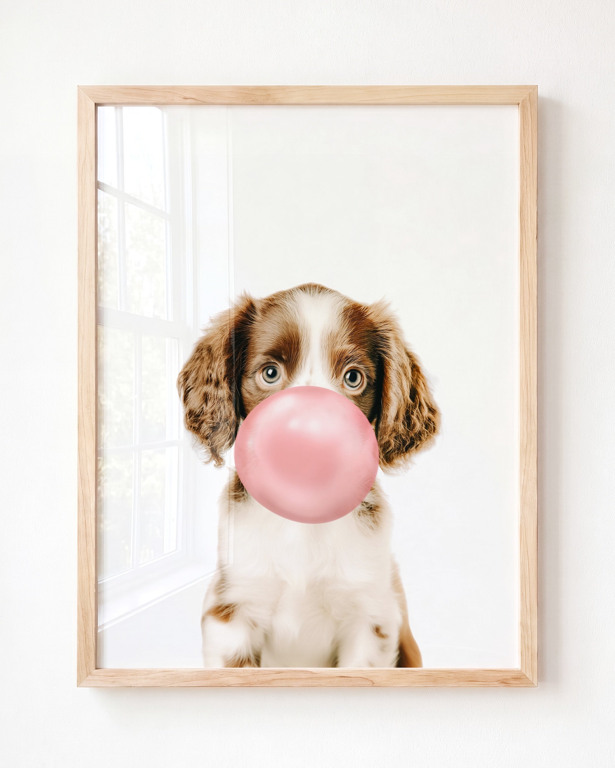 Baby Puppy Springer Spaniel Portrait