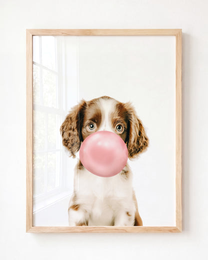Baby Puppy Springer Spaniel Portrait