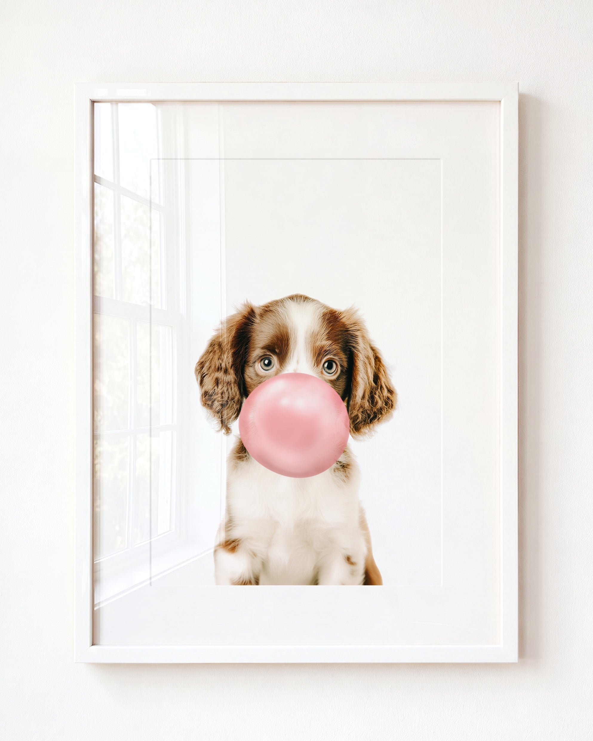Baby Puppy Springer Spaniel Portrait